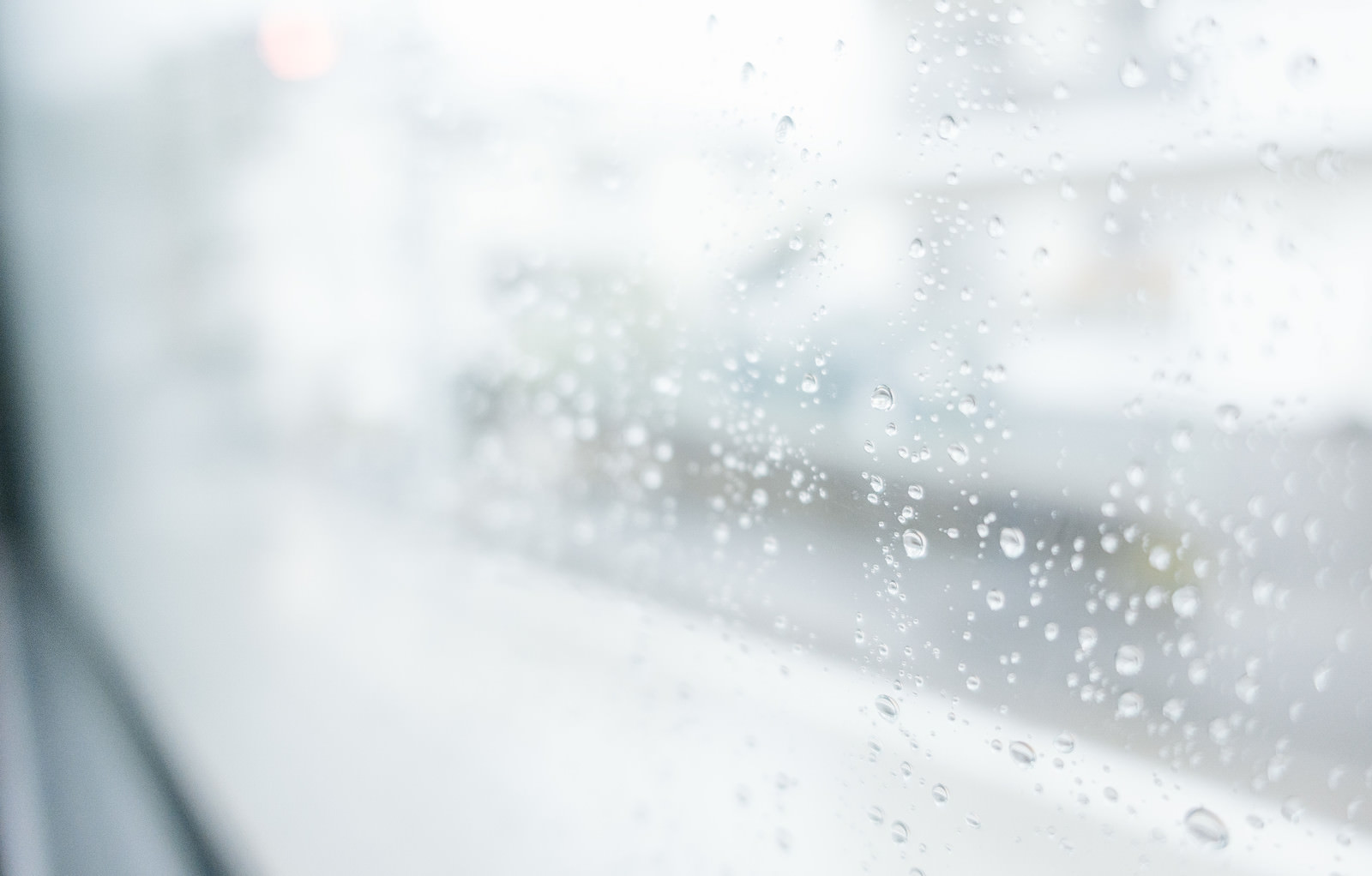 「週末はいつも雨」の写真