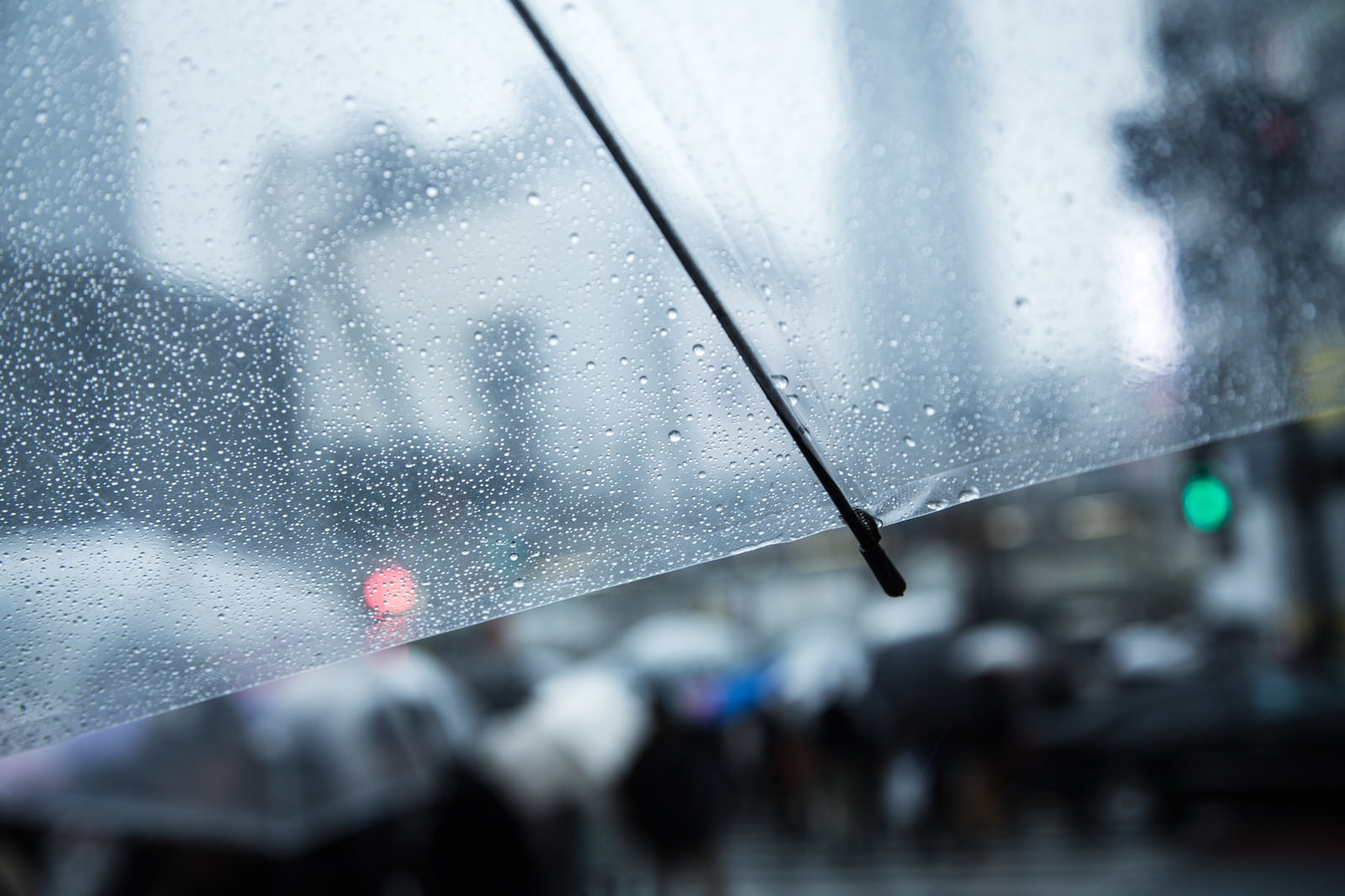 「無料素材 写真 雨」の画像検索結果