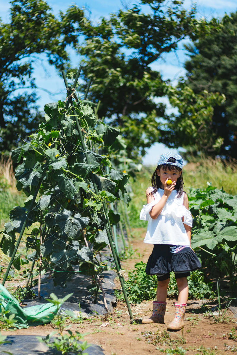 安全座椅 成長型