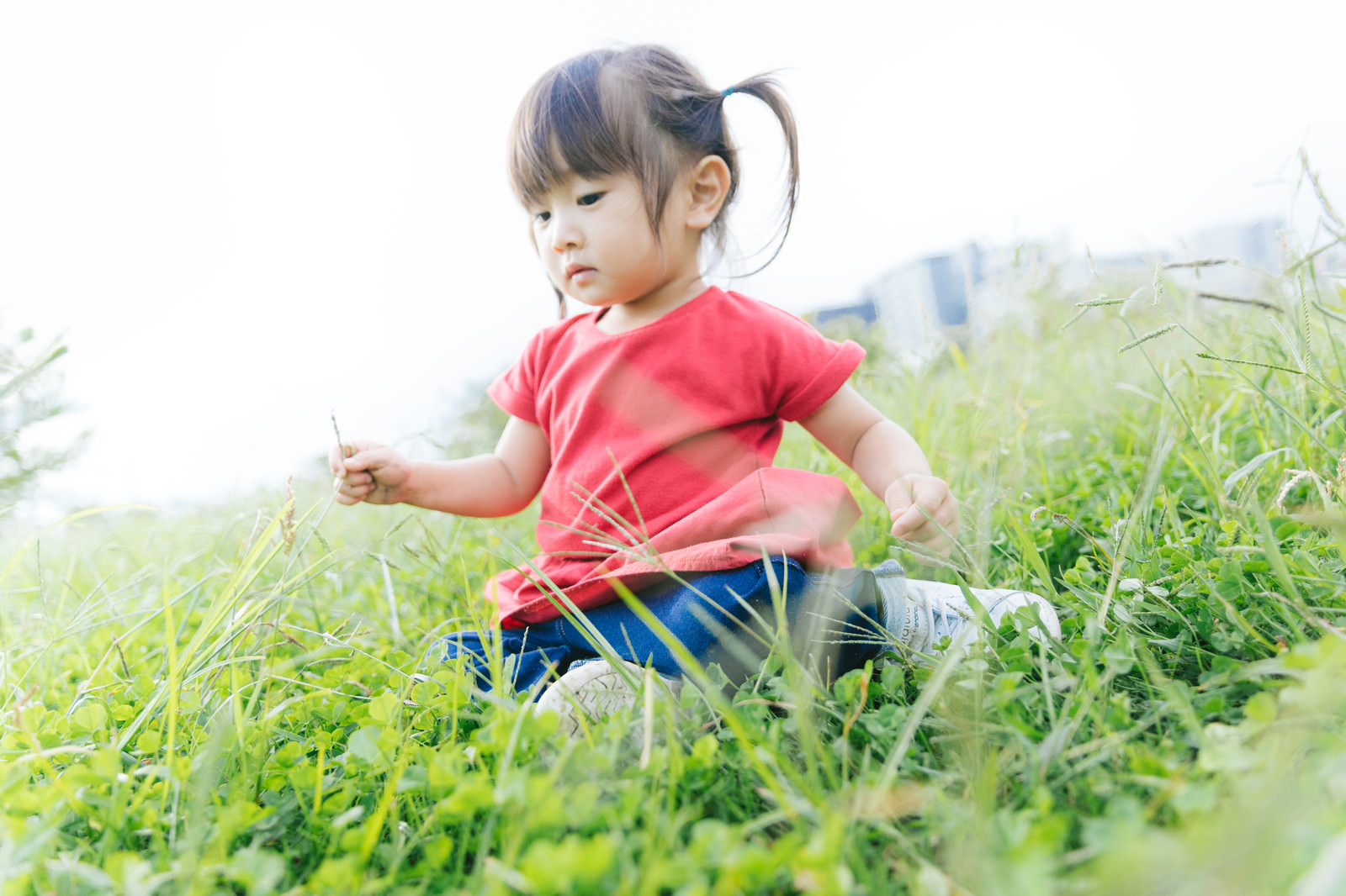 草むらで遊ぶ小さい女の子の写真 画像 を無料ダウンロード フリー素材のぱくたそ