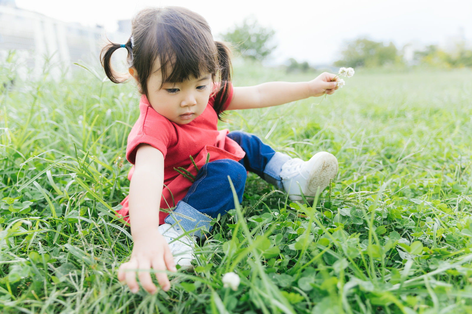 「シロツメクサを集める女の子シロツメクサを集める女の子」［モデル：あおみどり］のフリー写真素材を拡大