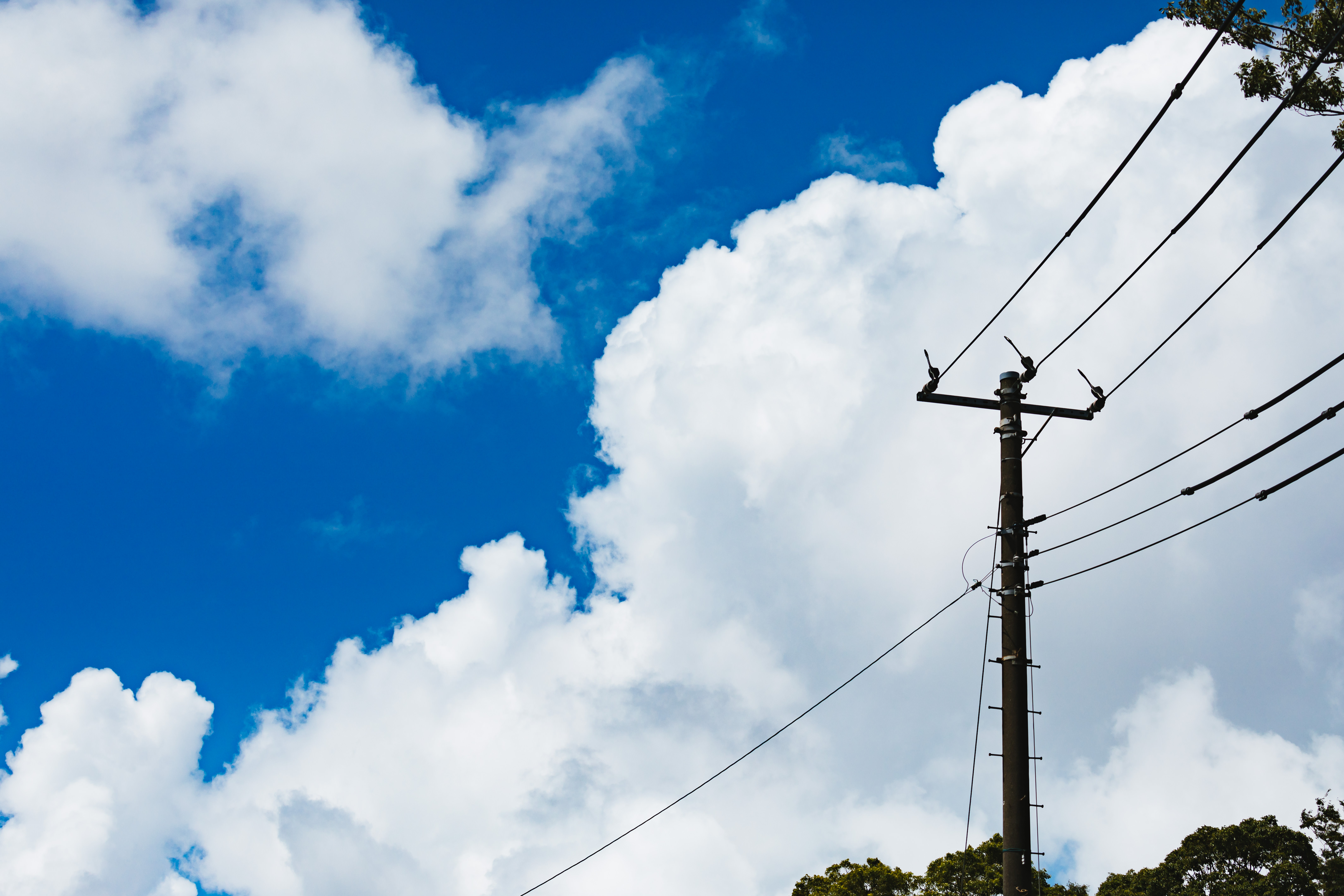 晴天と積乱雲と電柱の写真 画像 フリー素材 ぱくたそ