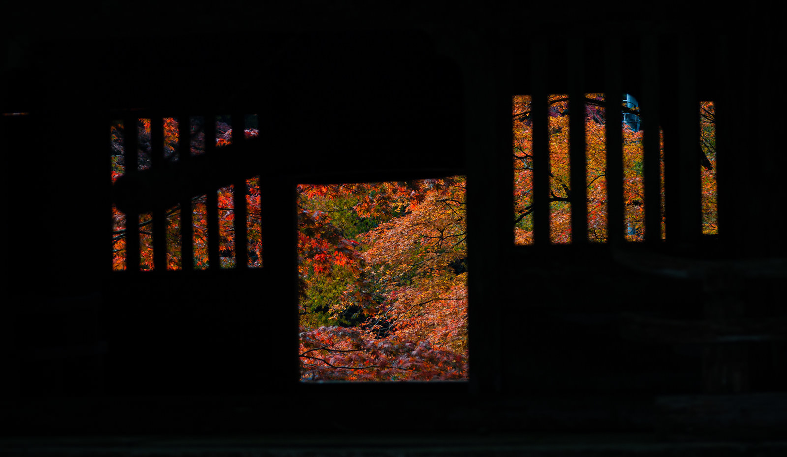 「門越しに見える紅葉 | フリー素材のぱくたそ」の写真
