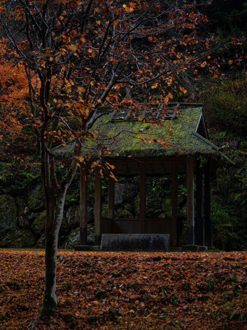 五宝滝公園の枯れ葉に囲まれた東屋の写真 画像 を無料ダウンロード フリー素材のぱくたそ 五宝滝公園の枯れ葉に囲まれた東屋の写真 画像 を無料ダウンロード フリー素材のぱくたそ