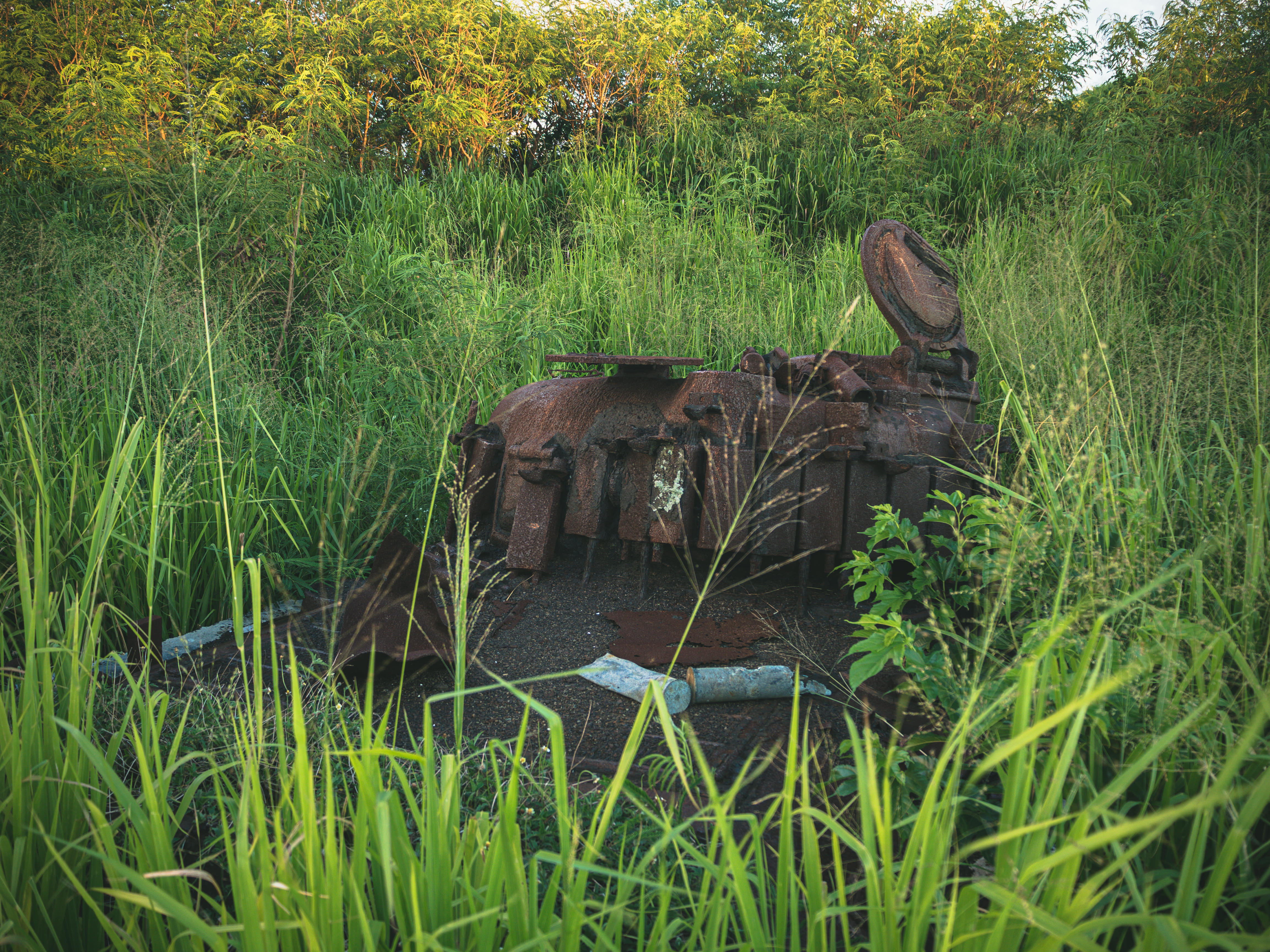 深い草むらに埋もれた錆て朽ちかけたシャーマン戦車と砲弾薬きょうの写真素材 ぱくたそ 深い草むらに埋もれた錆て朽ちかけたシャーマン戦車と砲弾薬きょうの写真素材 ぱくたそ