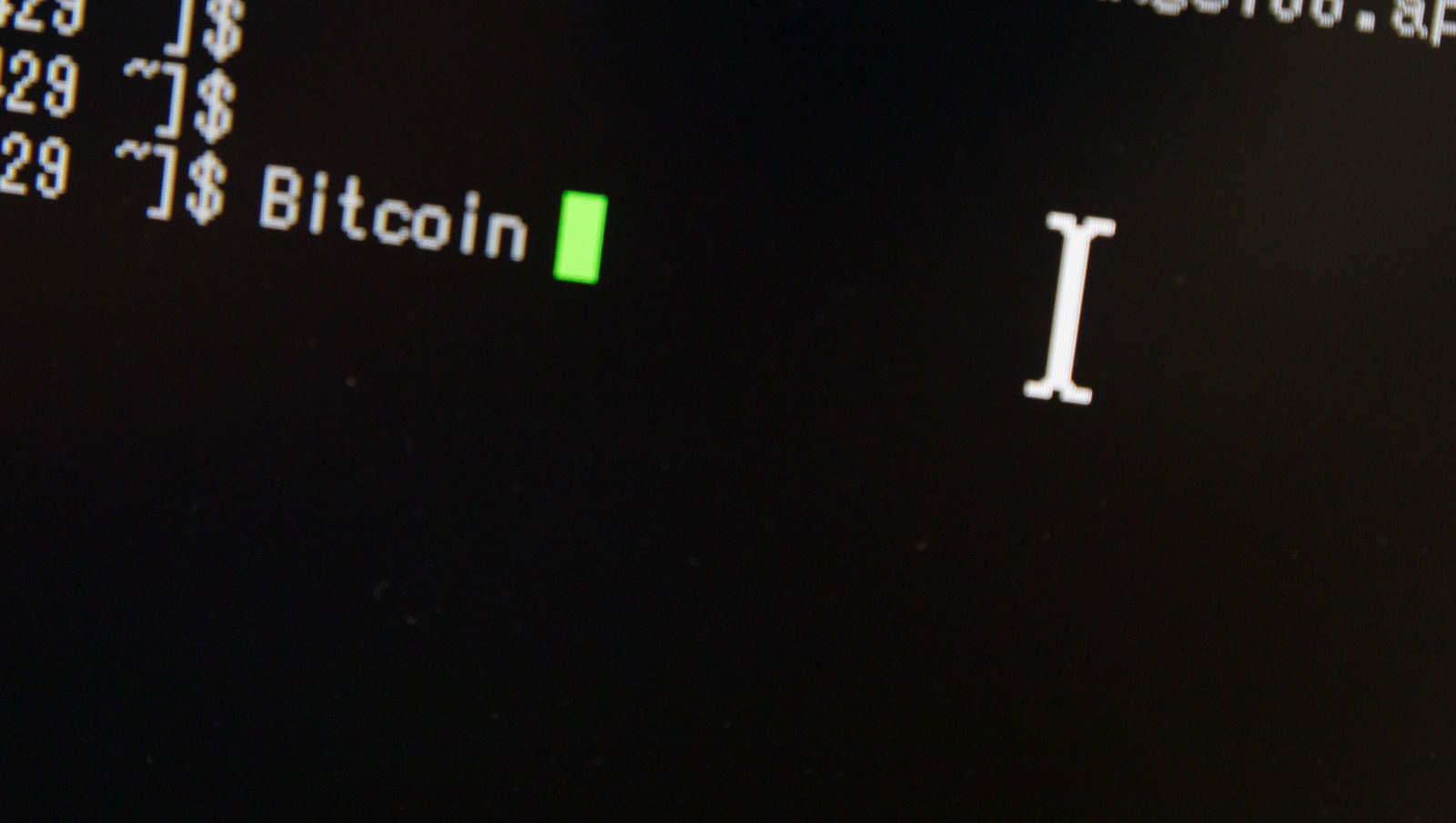 「PC画面に入力された Bitcoin の文字PC画面に入力された Bitcoin の文字」のフリー写真素材を拡大