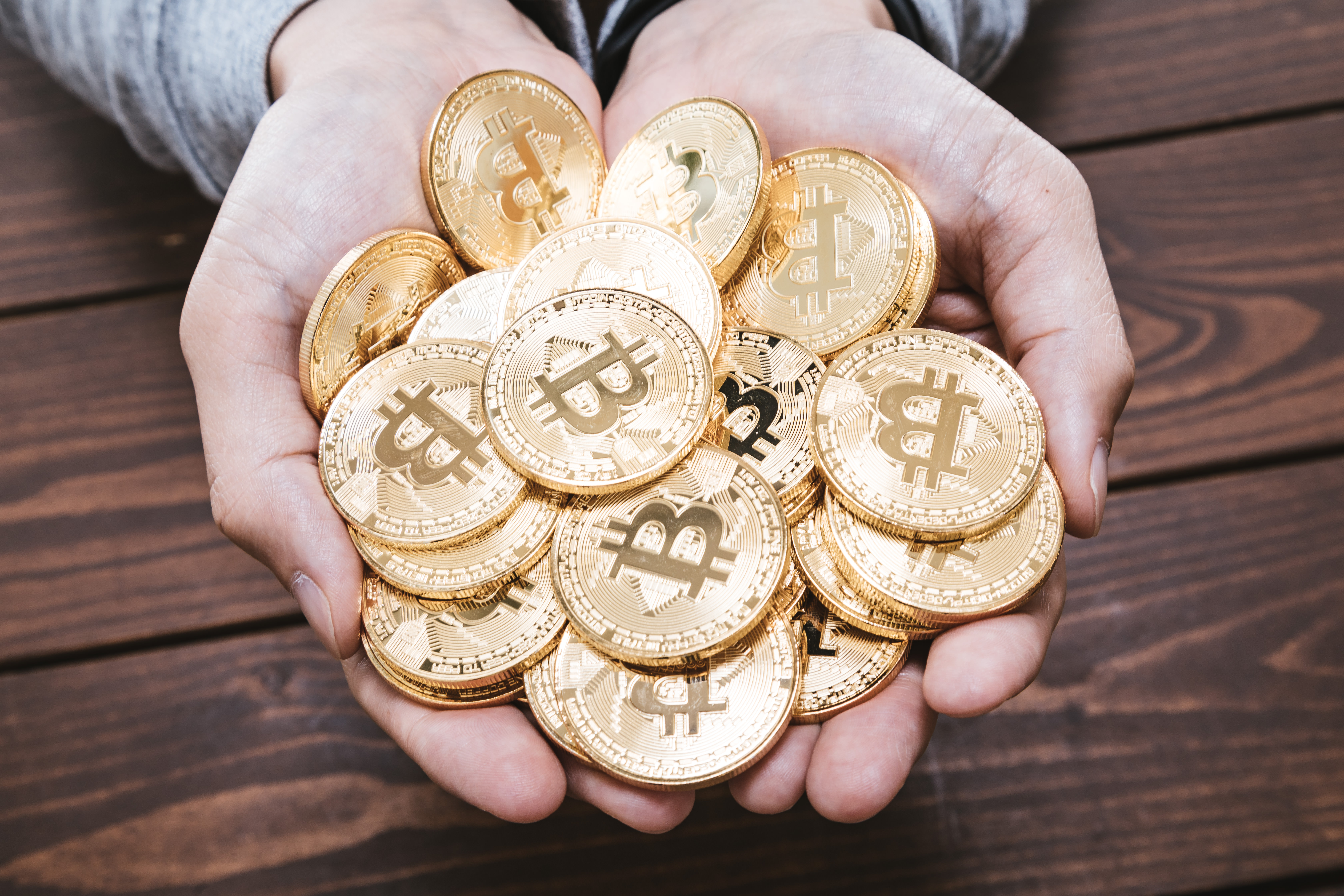ビットコインhodlの写真素材 ぱくたそ