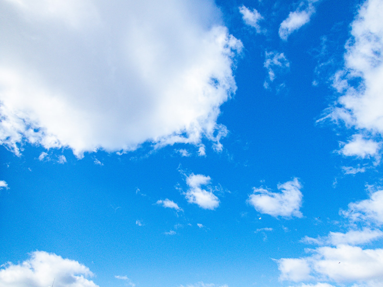 空 雲の写真 画像 をまとめたカテゴリ 253枚 フリー素材のぱくたそ