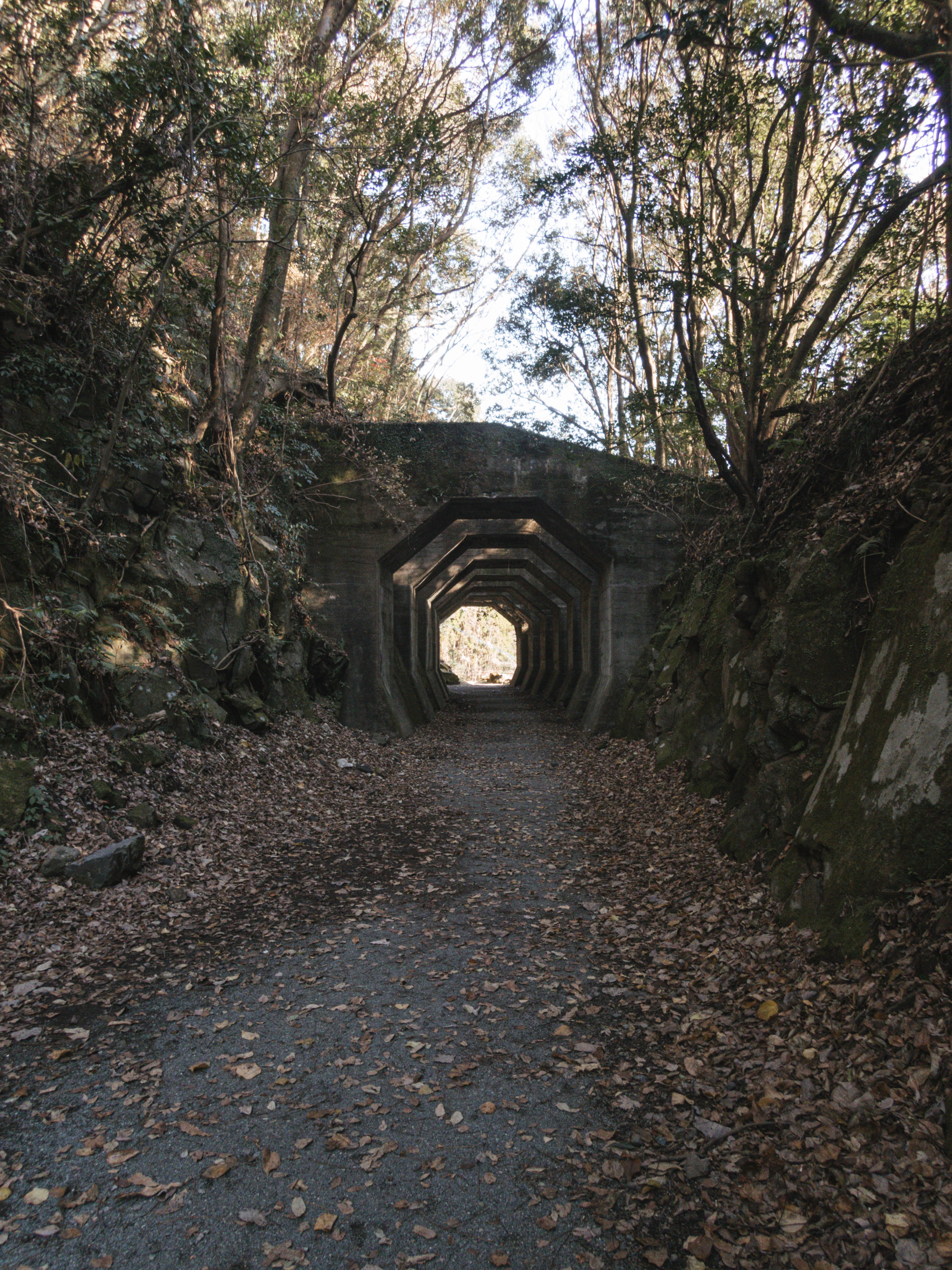 熊延鉄道の遺構 八角トンネル の写真素材 ぱくたそ
