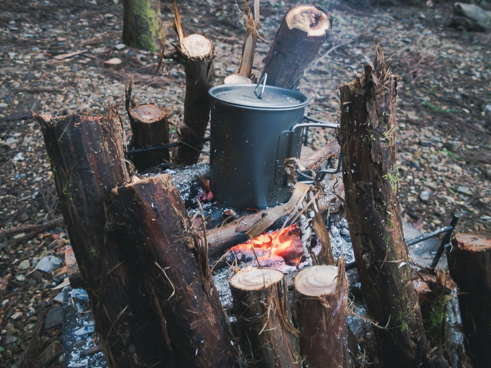 「焚火を使ったキャンプ料理」の写真
