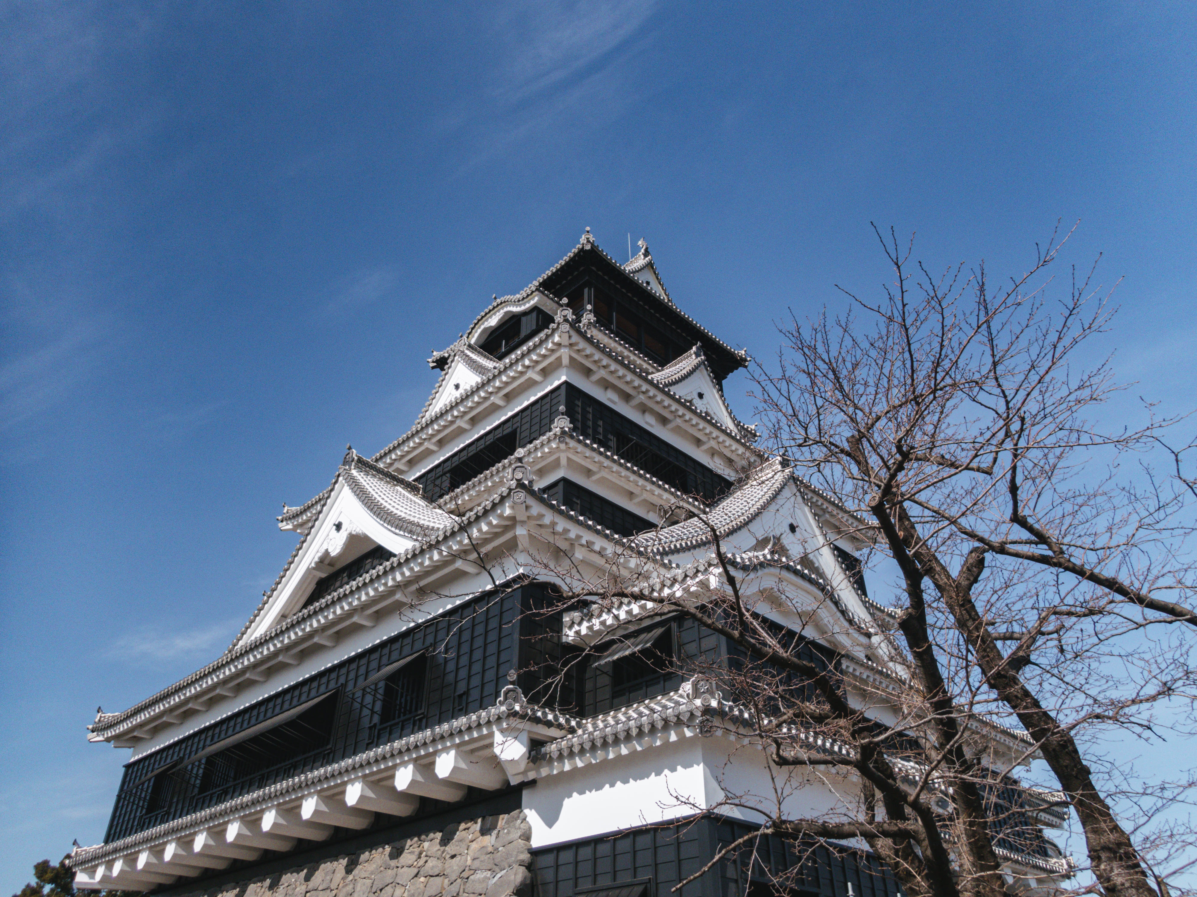 見上げた空と熊本城天守閣 熊本県熊本市 の写真を無料ダウンロード フリー素材 ぱくたそ