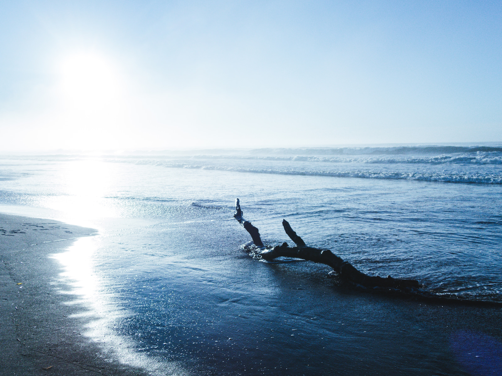 「夏の日差しに輝く砂浜と流木 | フリー素材のぱくたそ」の写真