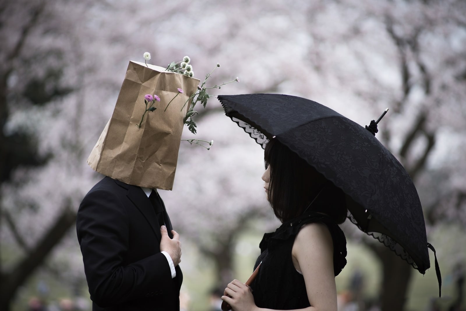 「匿名の恋」の写真