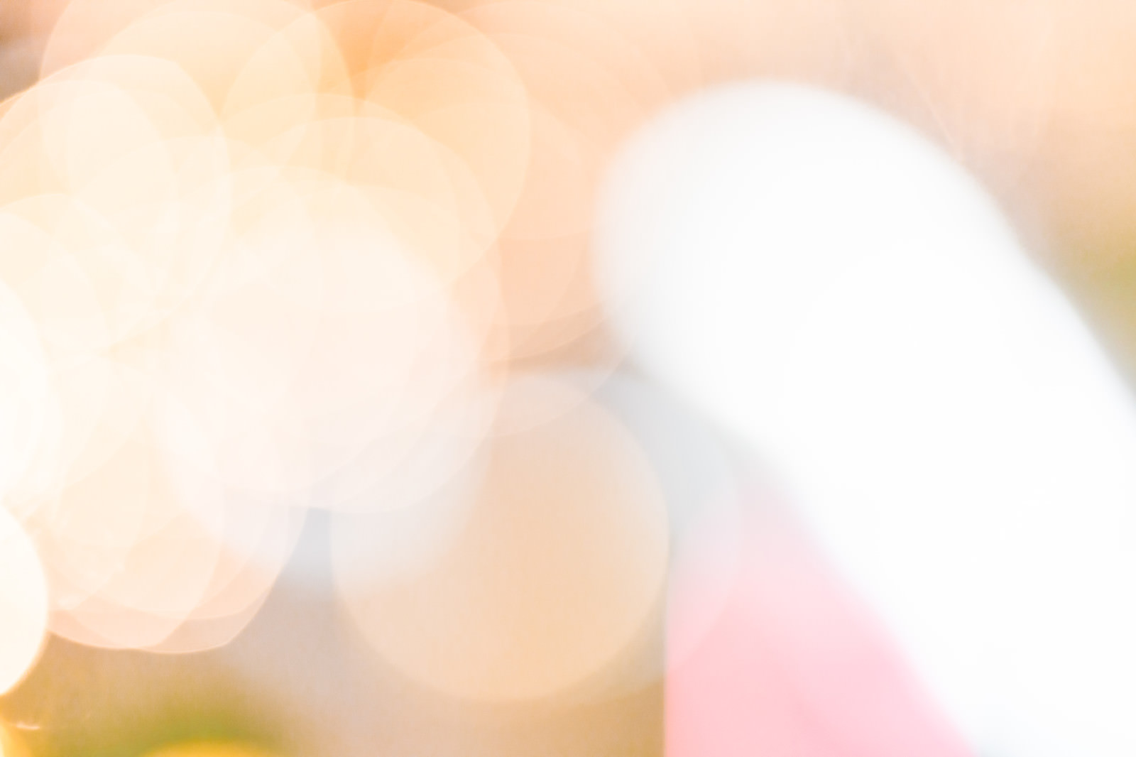 光あふれる温かみのあるボケ味の写真を無料ダウンロード フリー素材 ぱくたそ