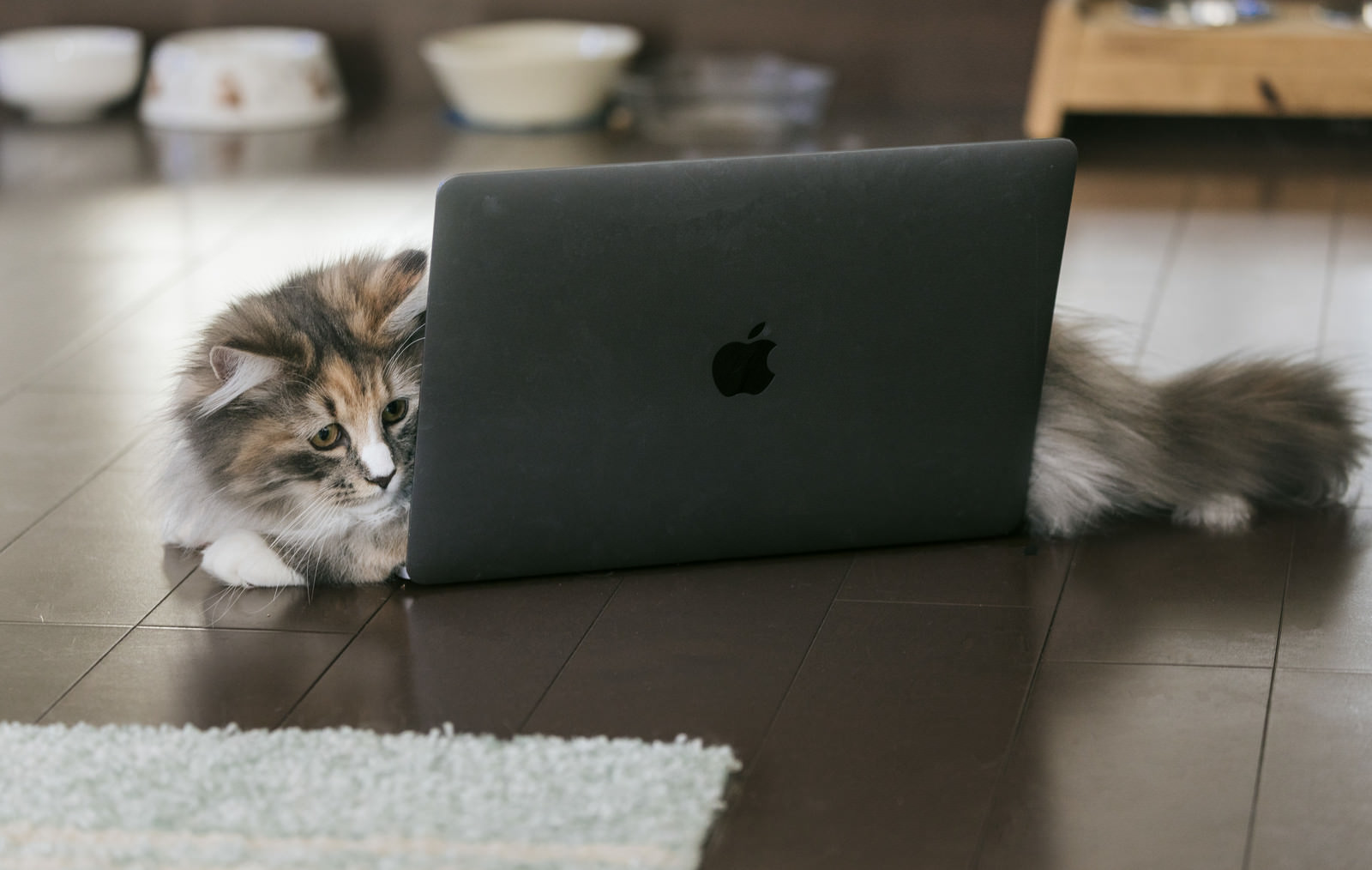 ãMacBookã®ä¸ã«æ¨ªãããç«ã