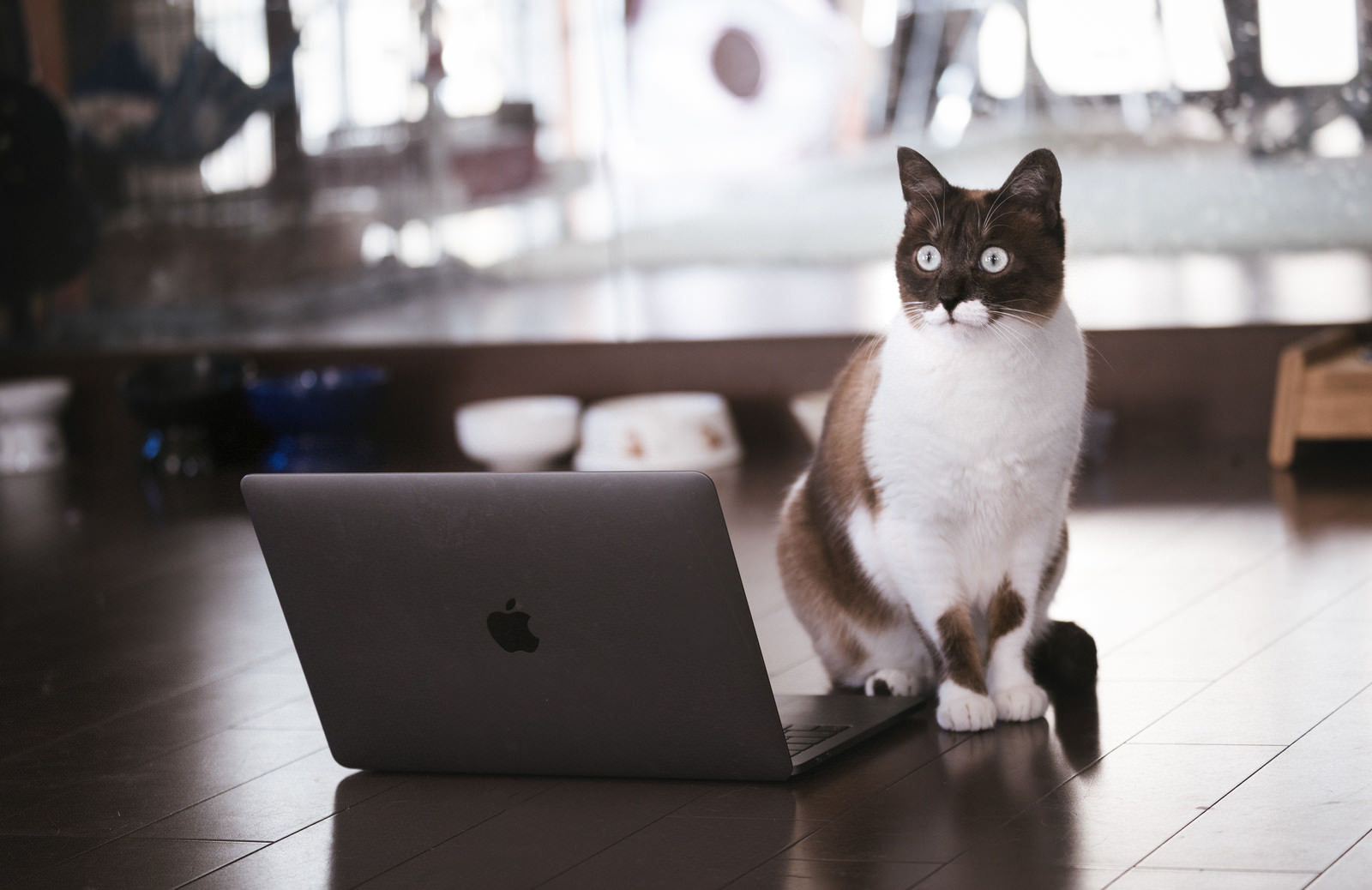 ãç«ãã¯ã³ã¯ãªãã¯è©æ¬ºè¸ãããã£ãã