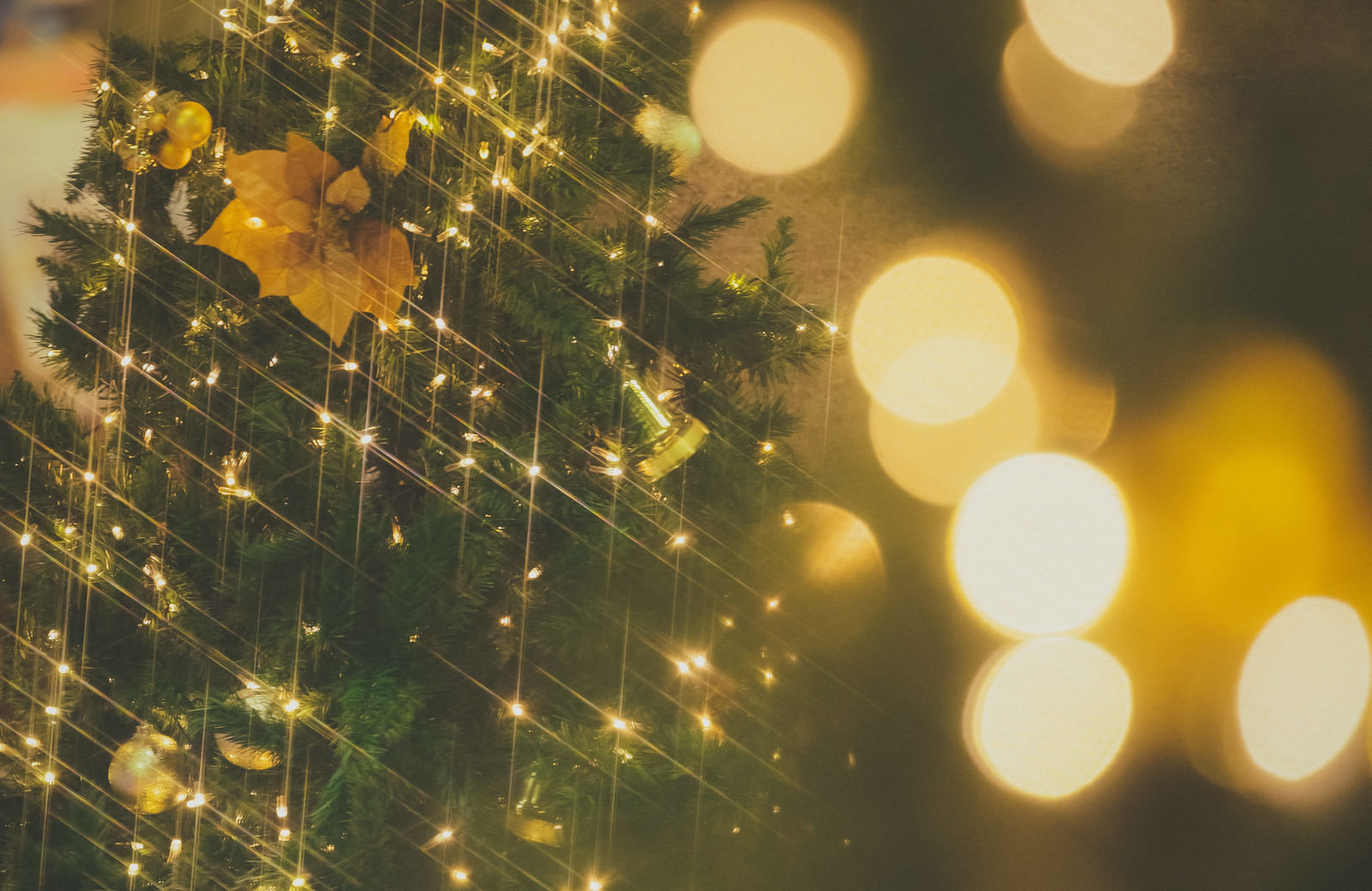 「ライトアップとクリスマスツリー | フリー素材のぱくたそ」の写真