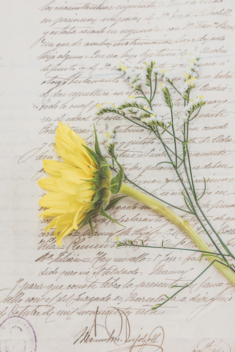 「英文の手紙と向日葵」の写真