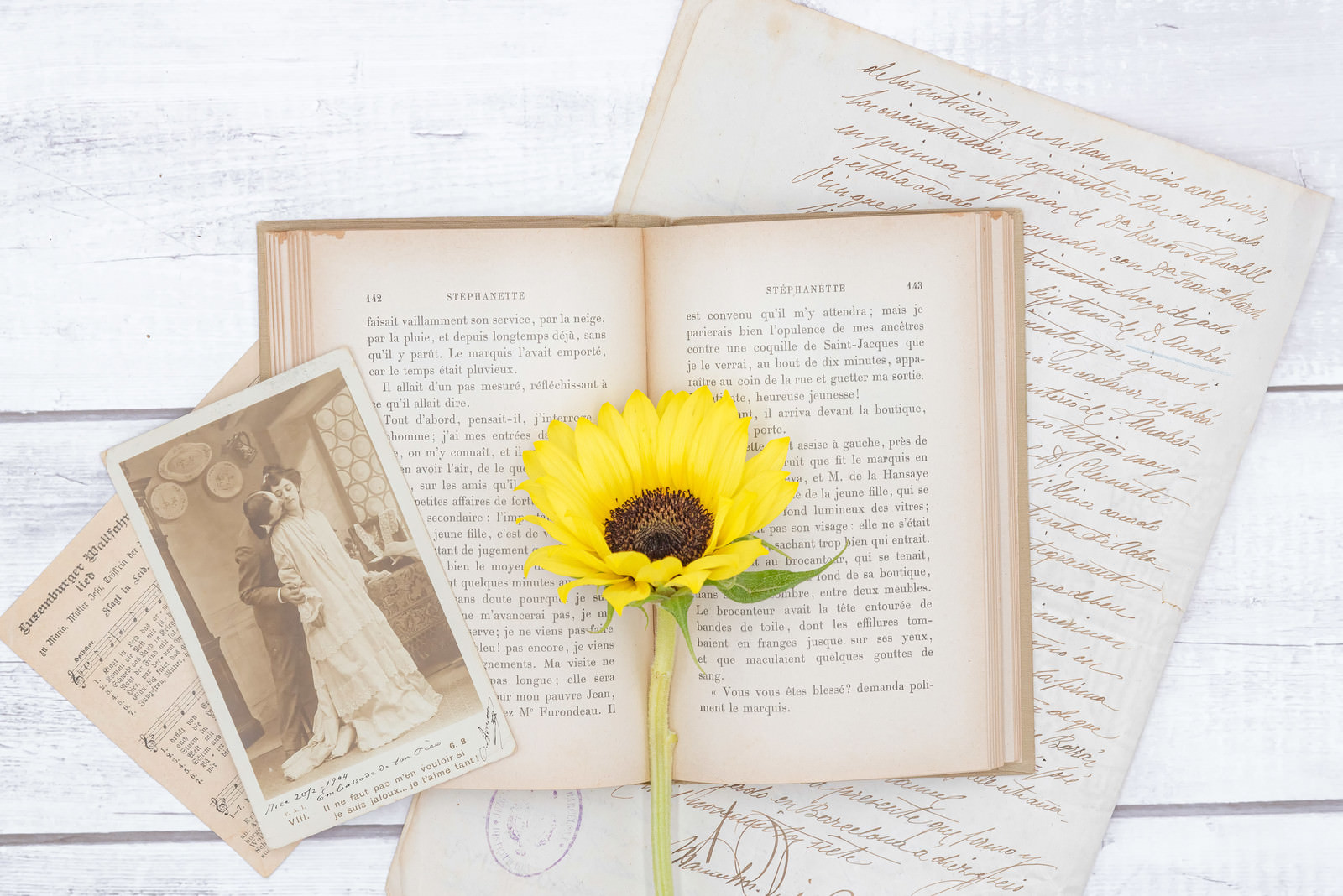 「開いた洋書に添えた向日葵」の写真