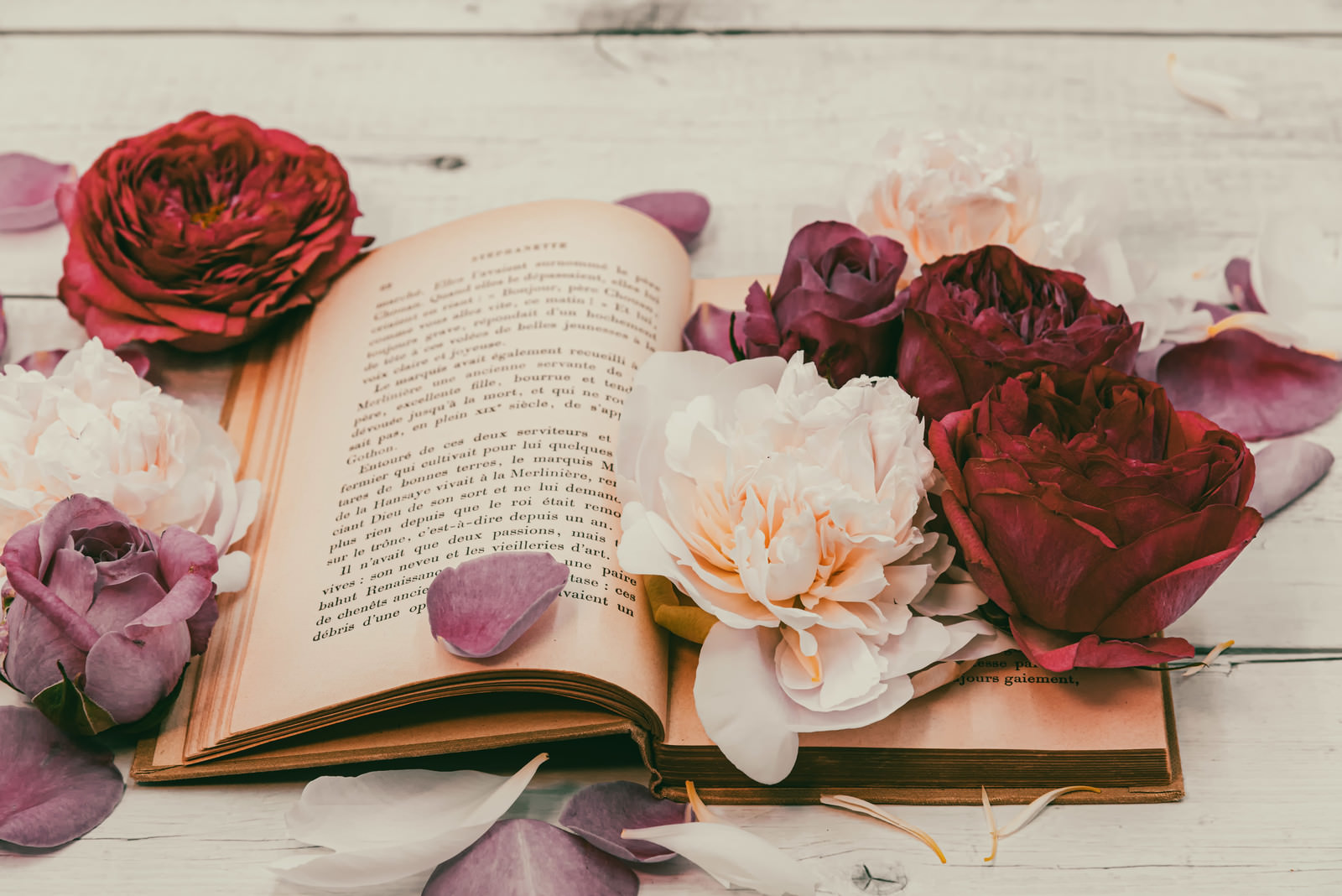 「色褪せた薔薇と古書 | フリー素材のぱくたそ」の写真