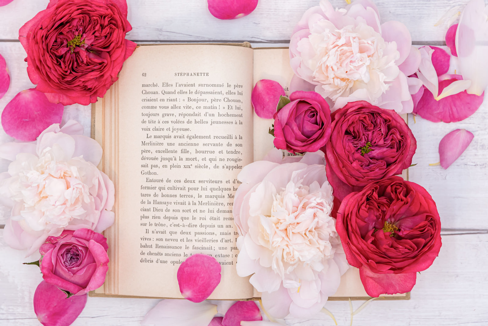「開かれた洋書に添えた薔薇の花」の写真