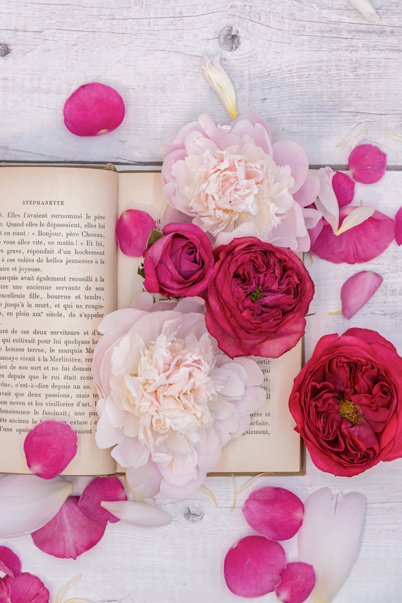 「薔薇と花弁で飾られた古書」の写真