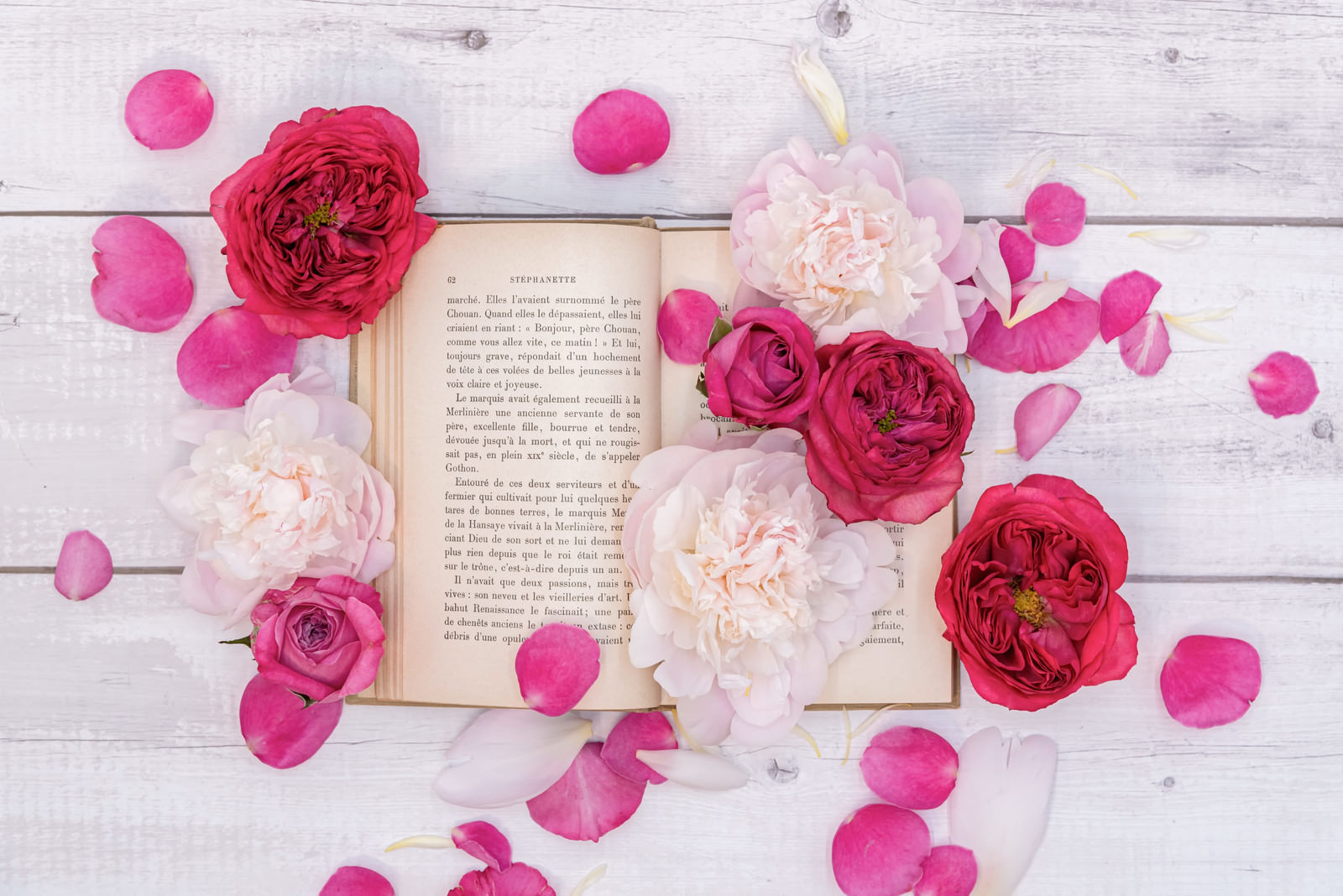 「散らばった薔薇の花びらと読みかけの古書 | フリー素材のぱくたそ」の写真