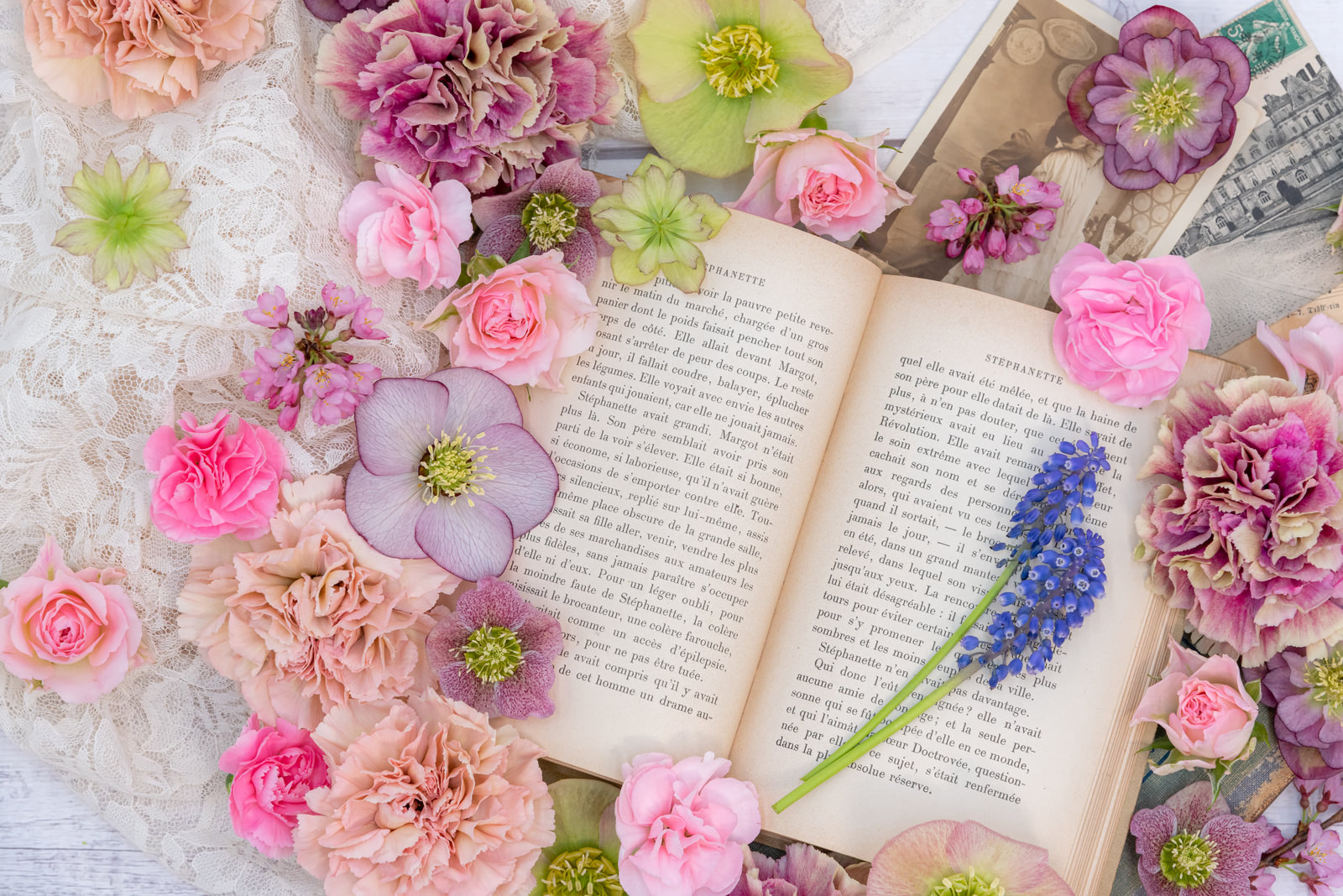 「薔薇などカラフルな春の季節の花に囲まれる洋書 | フリー素材のぱくたそ」の写真