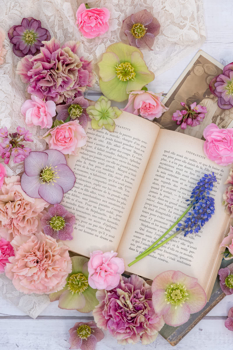 「開かれた洋書を囲う生花 | フリー素材のぱくたそ」の写真