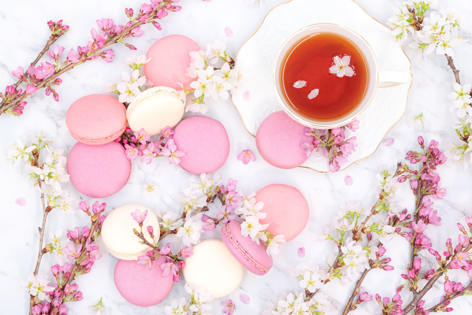 「桜とマカロン | フリー素材のぱくたそ」の写真
