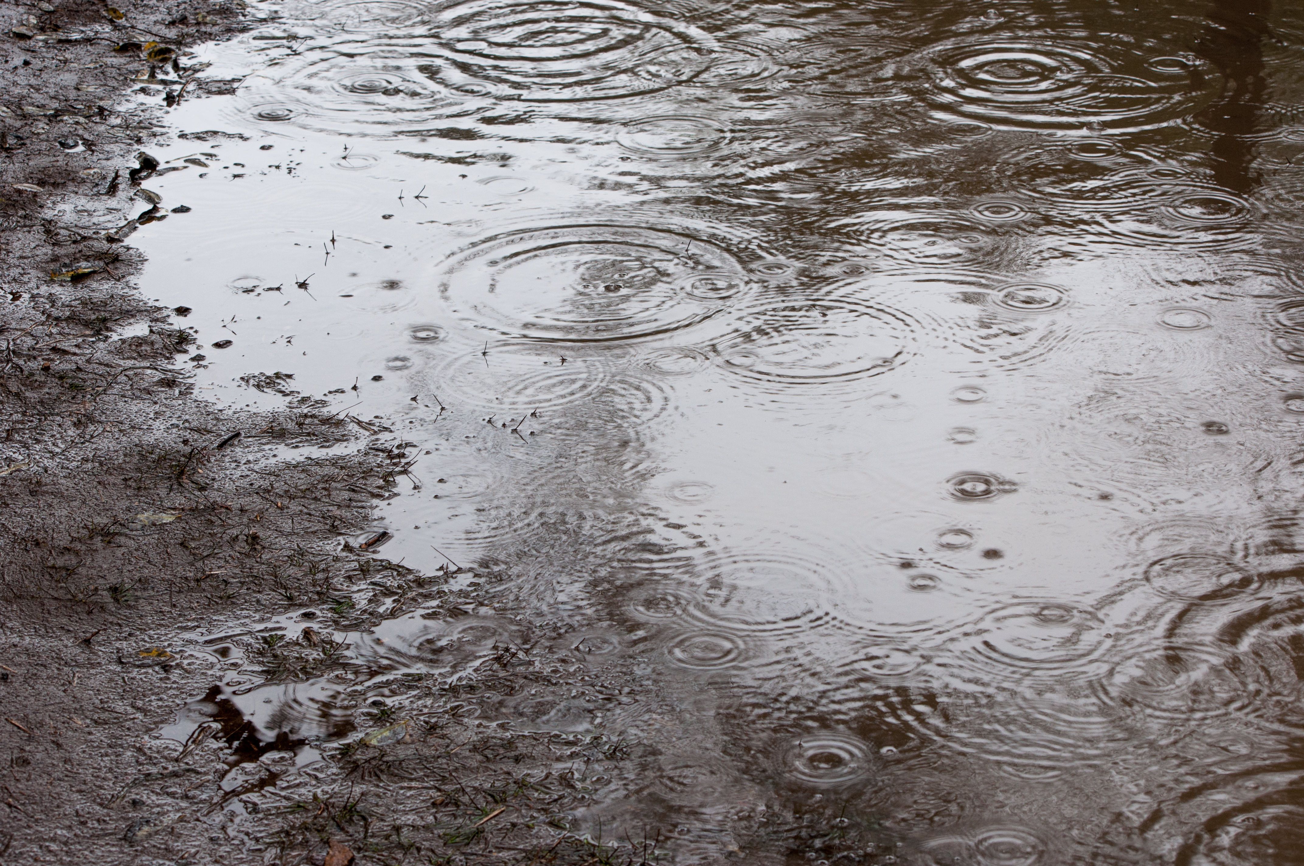 雨の日のフリー素材 ぱくたそ