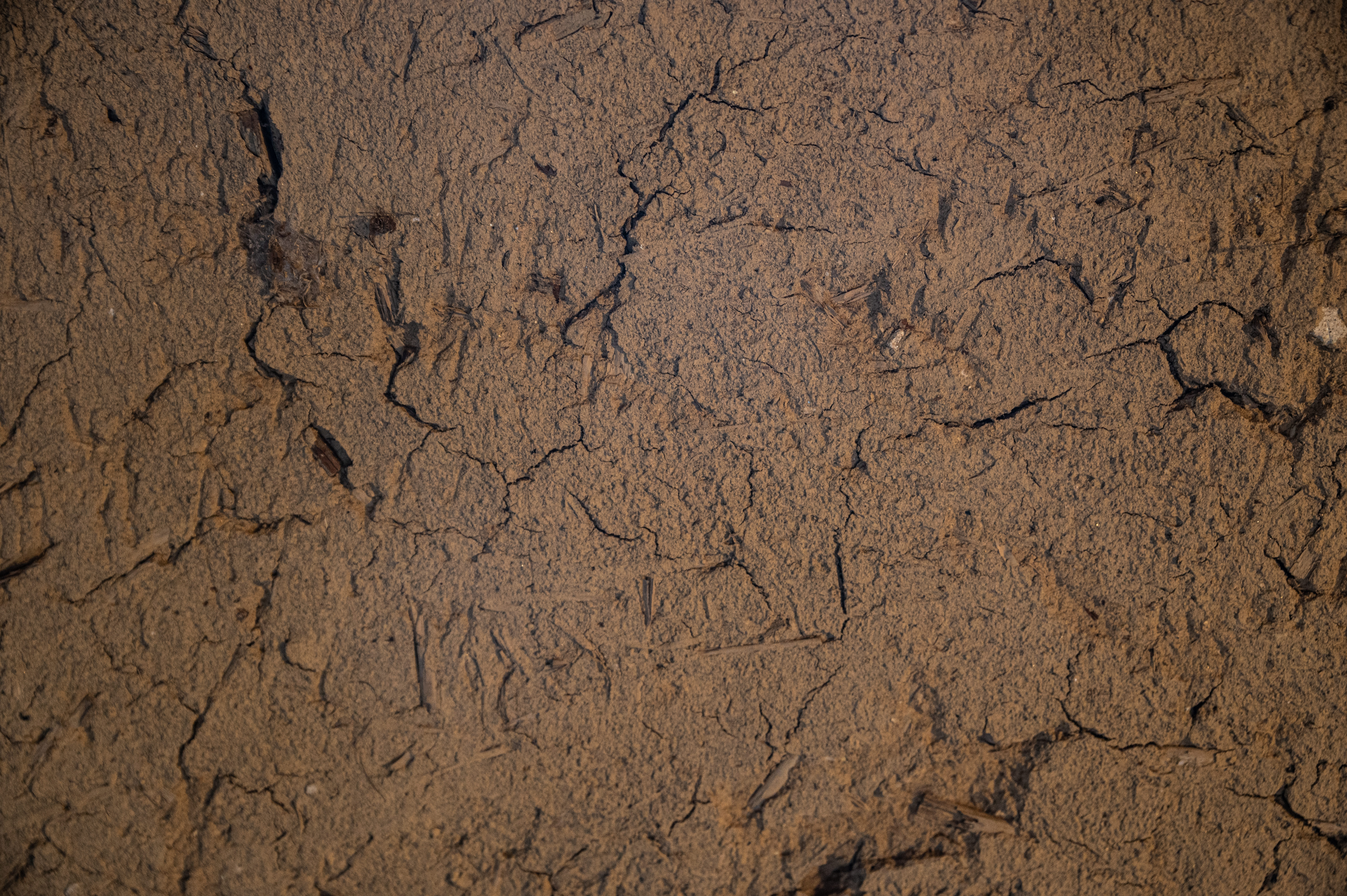 乾燥してひび割れた土の地面の写真素材 ぱくたそ