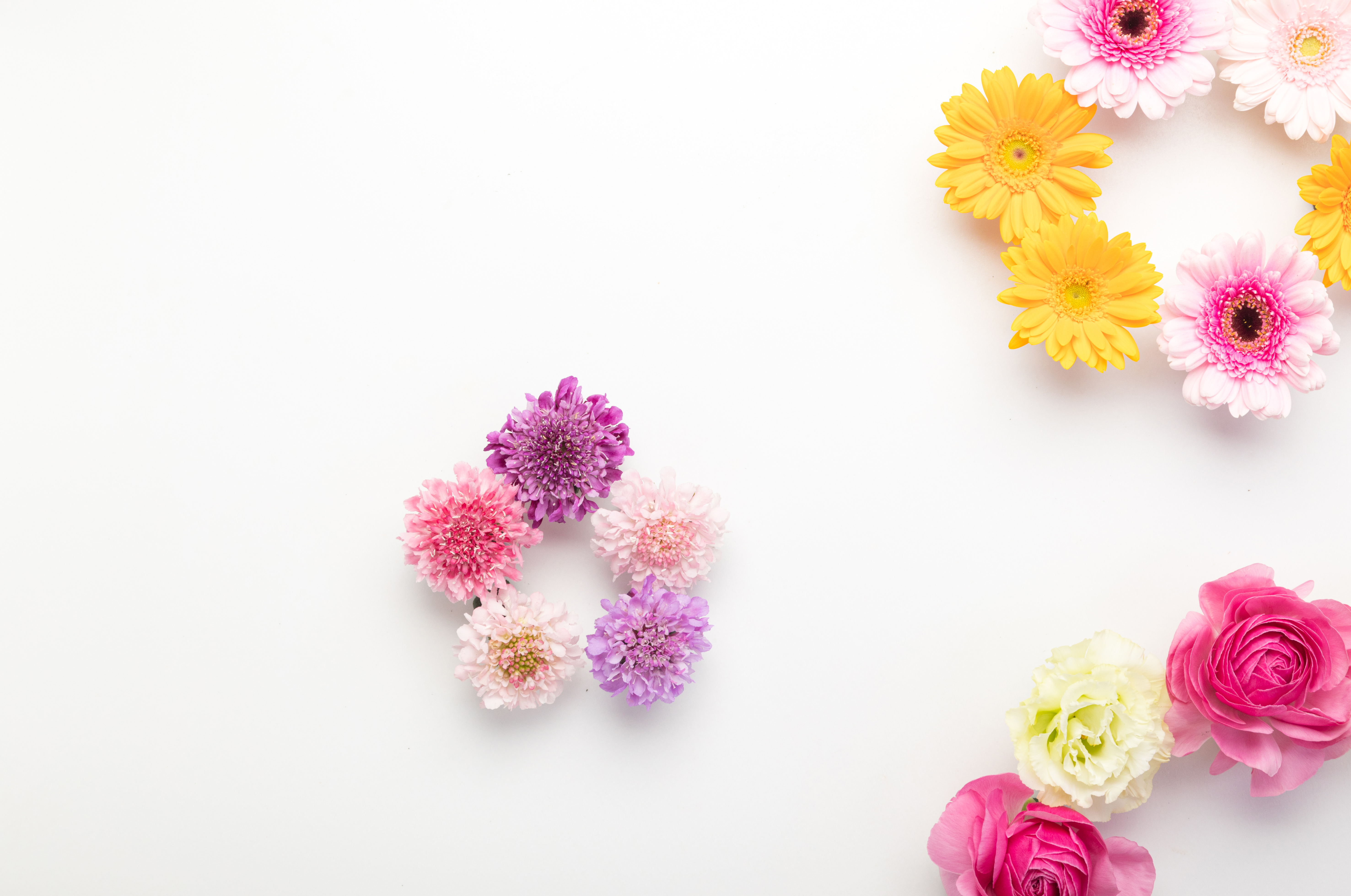 大中小の円を描くカラフルな花の写真を無料ダウンロード フリー素材 ぱくたそ