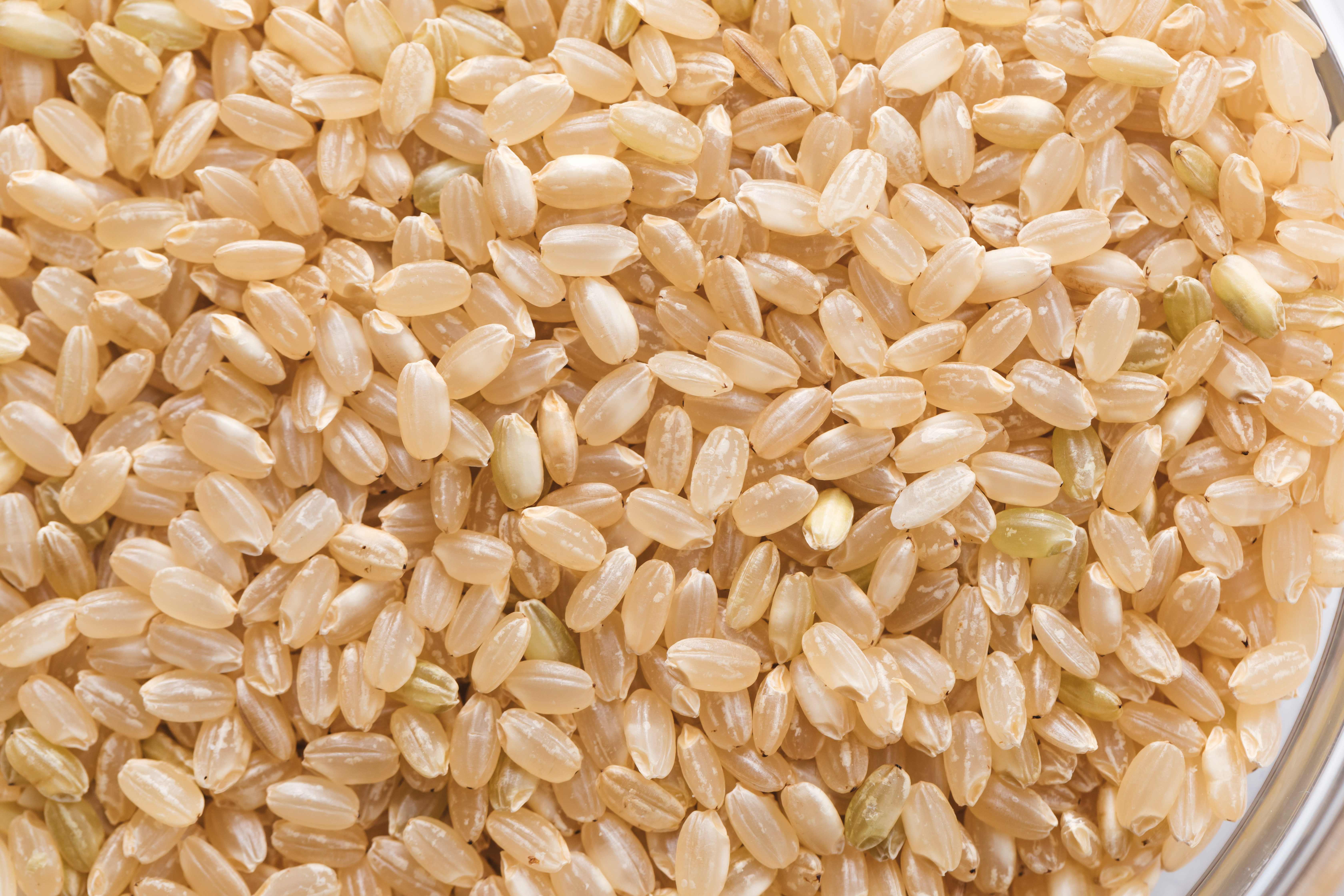 玄米是什么-百度经验