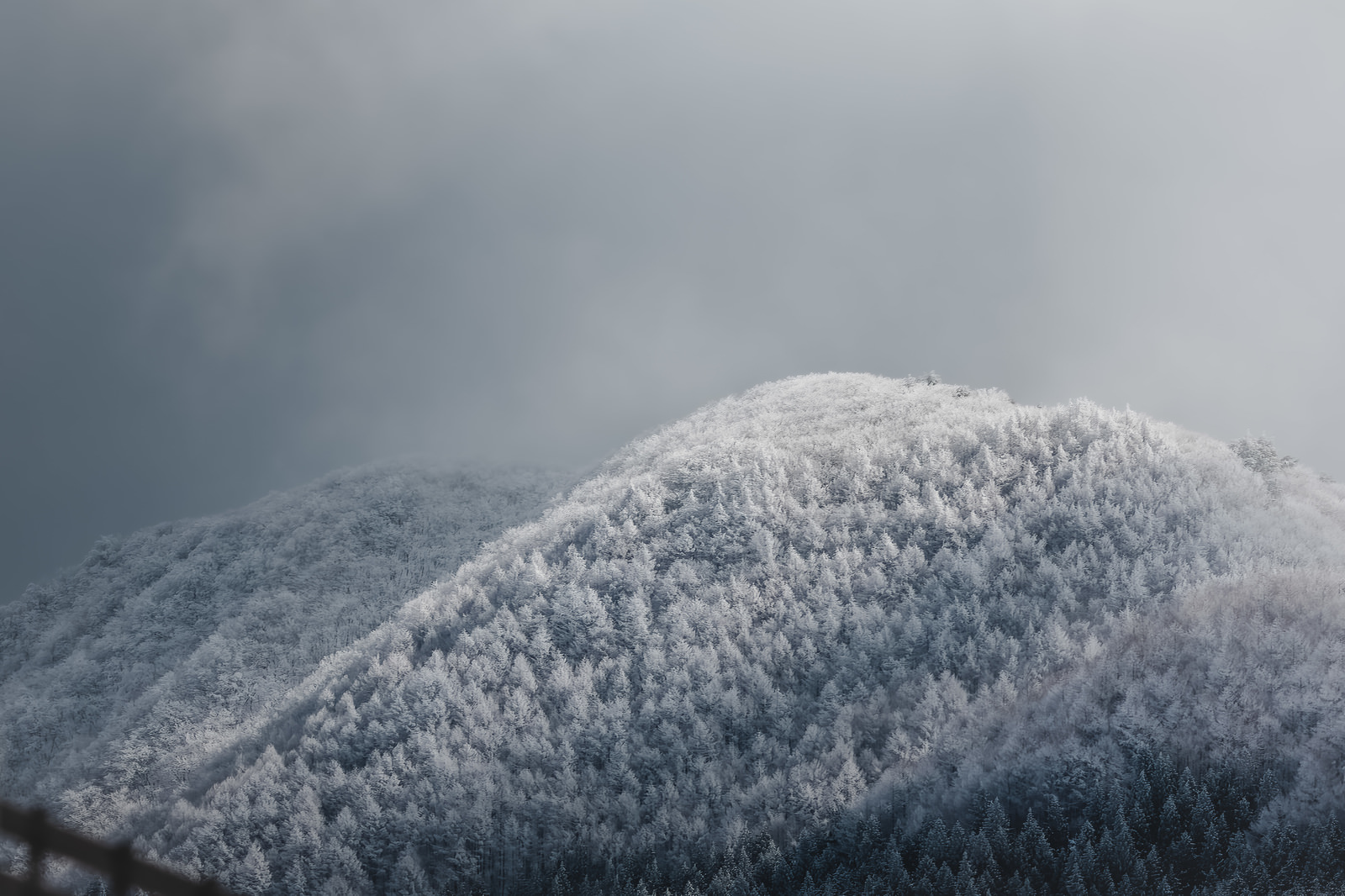 「樹氷の山 | フリー素材のぱくたそ」の写真