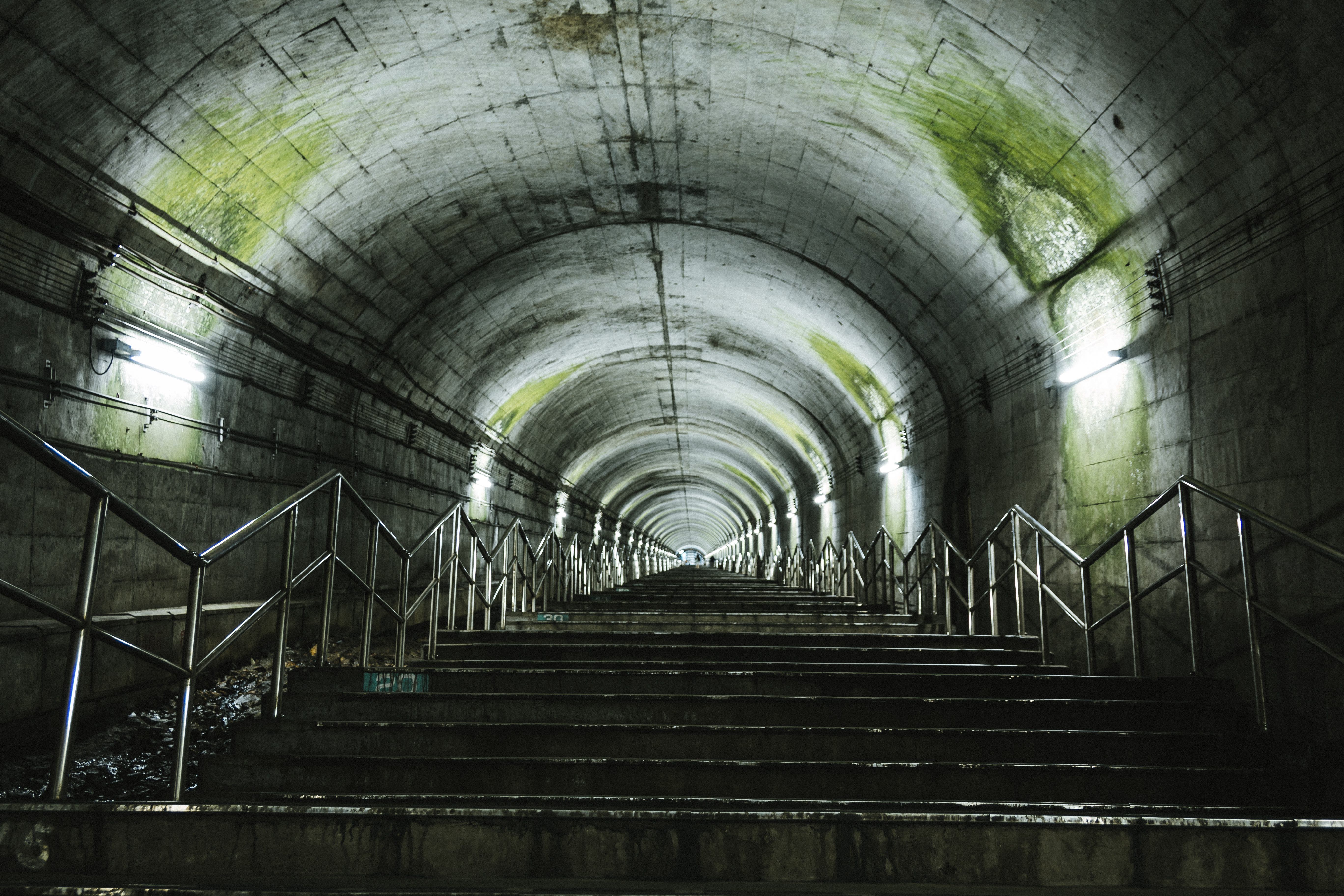 トンネルの天井にこびり付いた苔 土合駅の階段 の写真素材 ぱくたそ トンネルの天井にこびり付いた苔 土合駅の階段 の写真素材 ぱくたそ