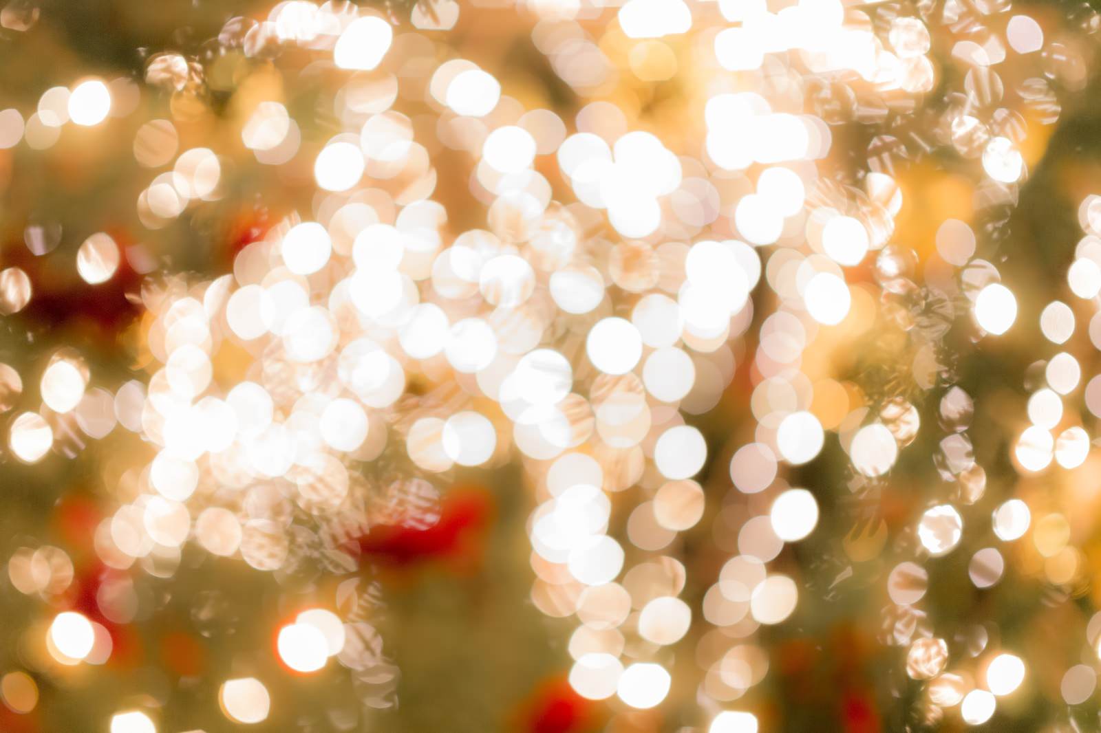 クリスマスツリーのライトアップ ボケ の写真 画像 フリー素材 ぱくたそ