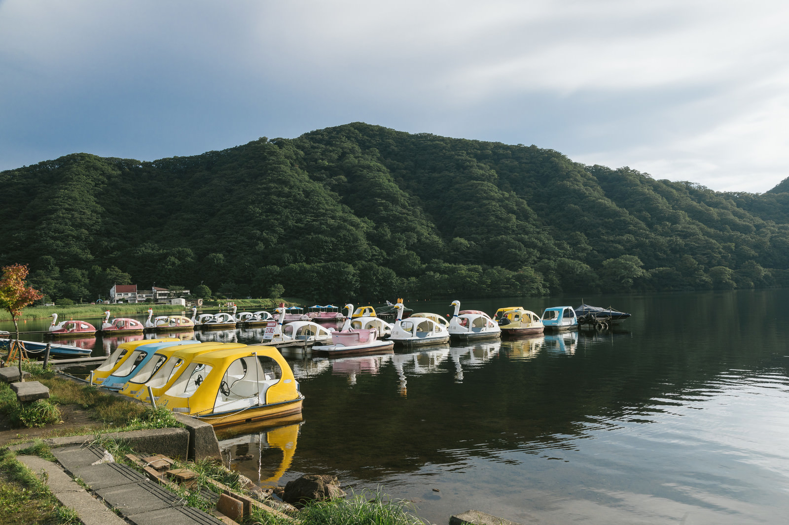 「スワンボート(榛名湖)スワンボート(榛名湖)」のフリー写真素材を拡大