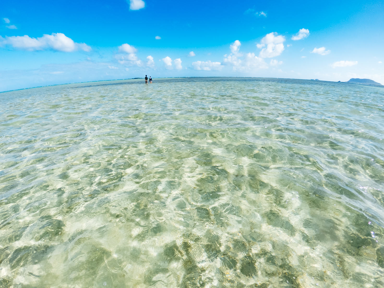 天国の海 ハワイ でイチャイチャするカップル フリー素材のぱくたそ