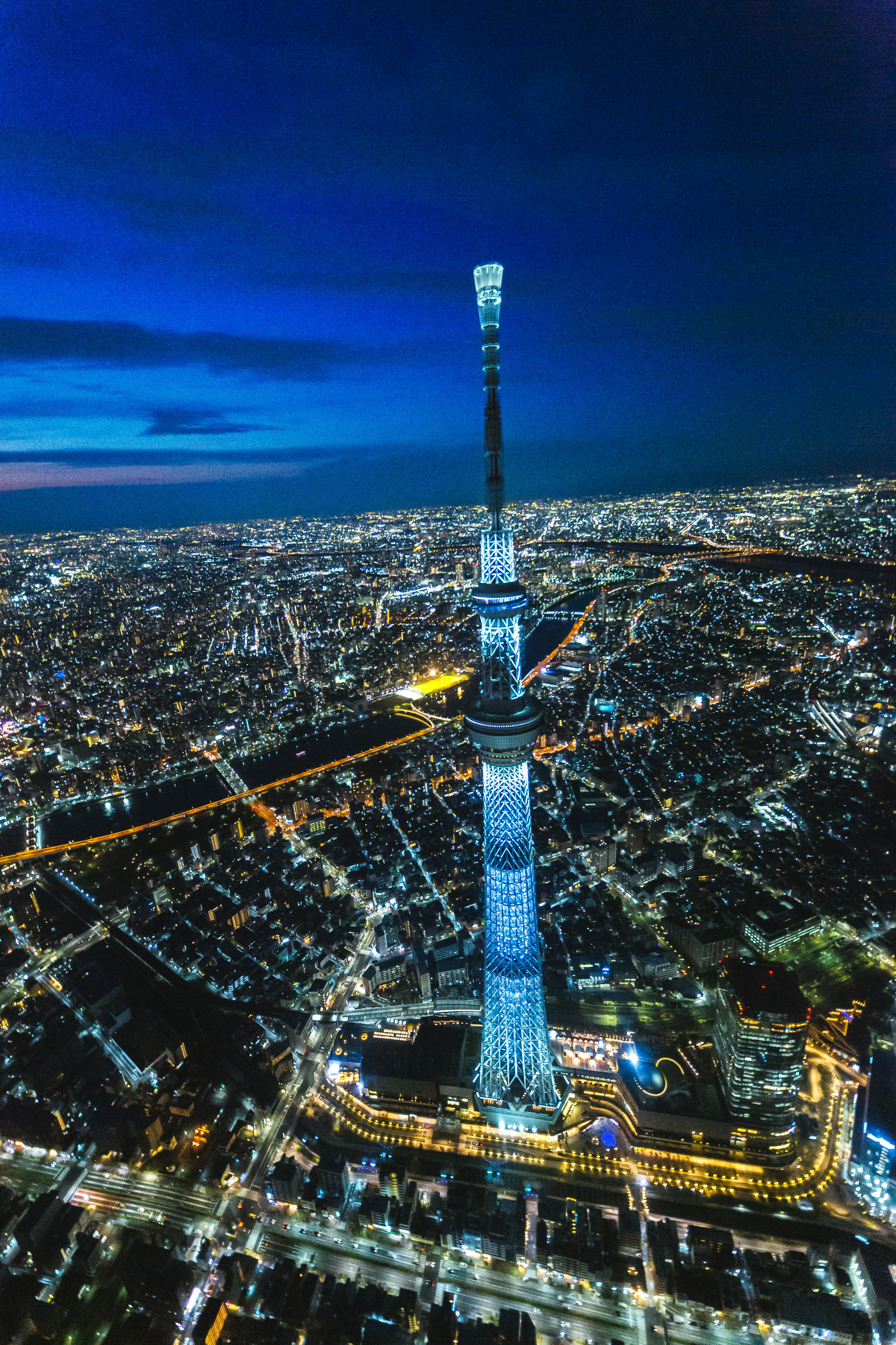 東京スカイツリーと夜景（空撮）のフリー素材