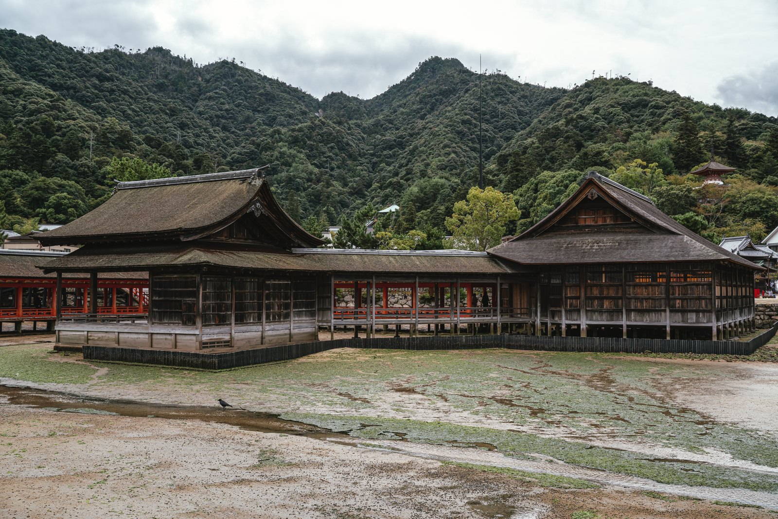 湿った地面と境内の建物の写真素材 ぱくたそ