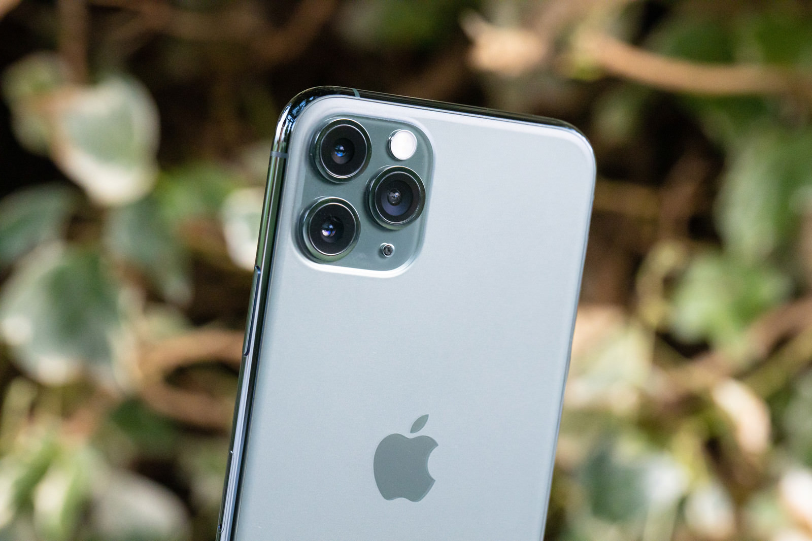 望遠から超広角まで撮影できる Iphone 11 Proの写真 画像 を無料ダウンロード フリー素材のぱくたそ