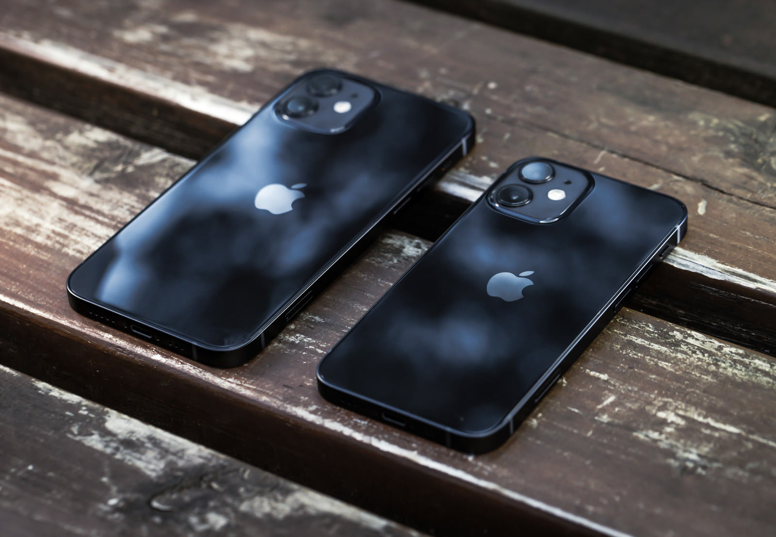 「木漏れ日が映り込む iPhone 12 と iPhone 12 mini」の写真