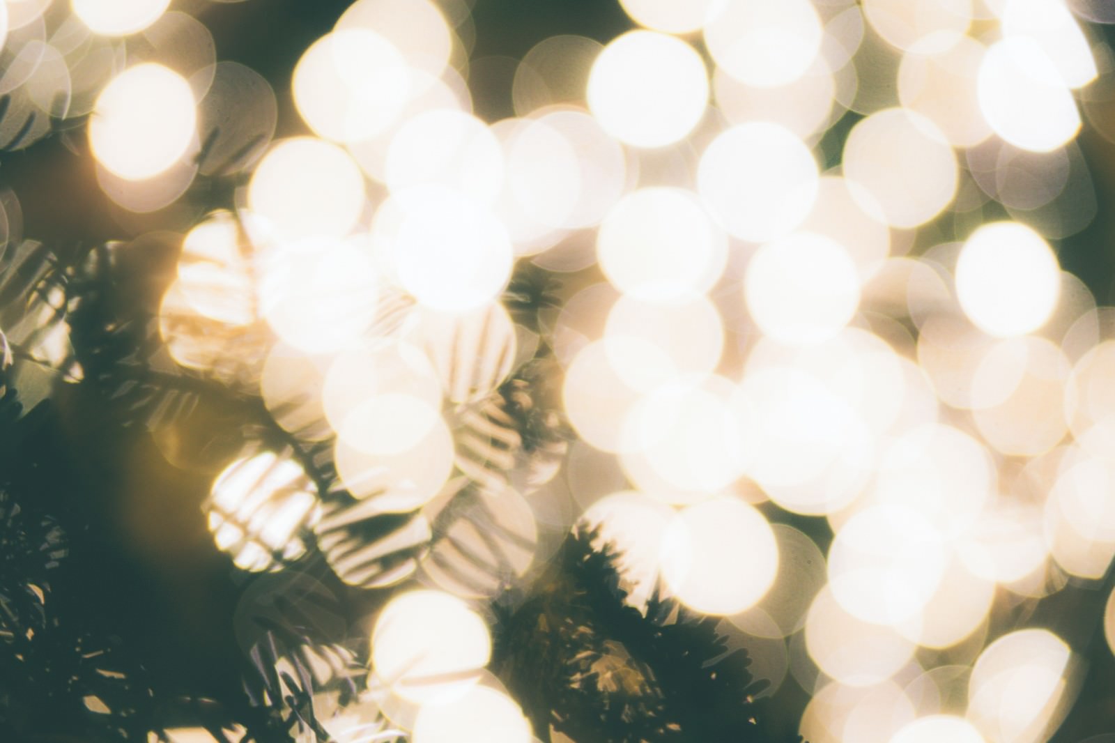 光で溢れるクリスマスツリーの写真を無料ダウンロード フリー素材 ぱくたそ