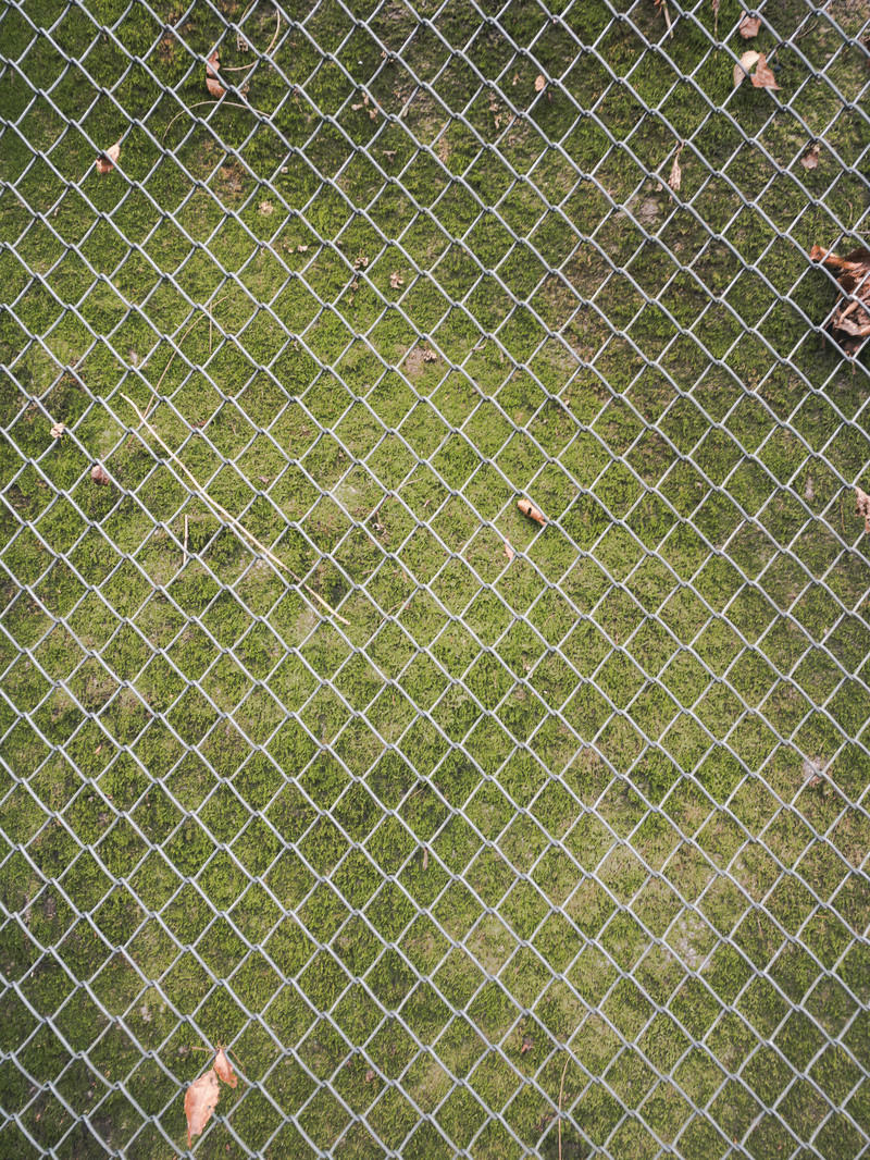 「苔生した擁壁と金網のテクスチャー | フリー素材のぱくたそ」の写真
