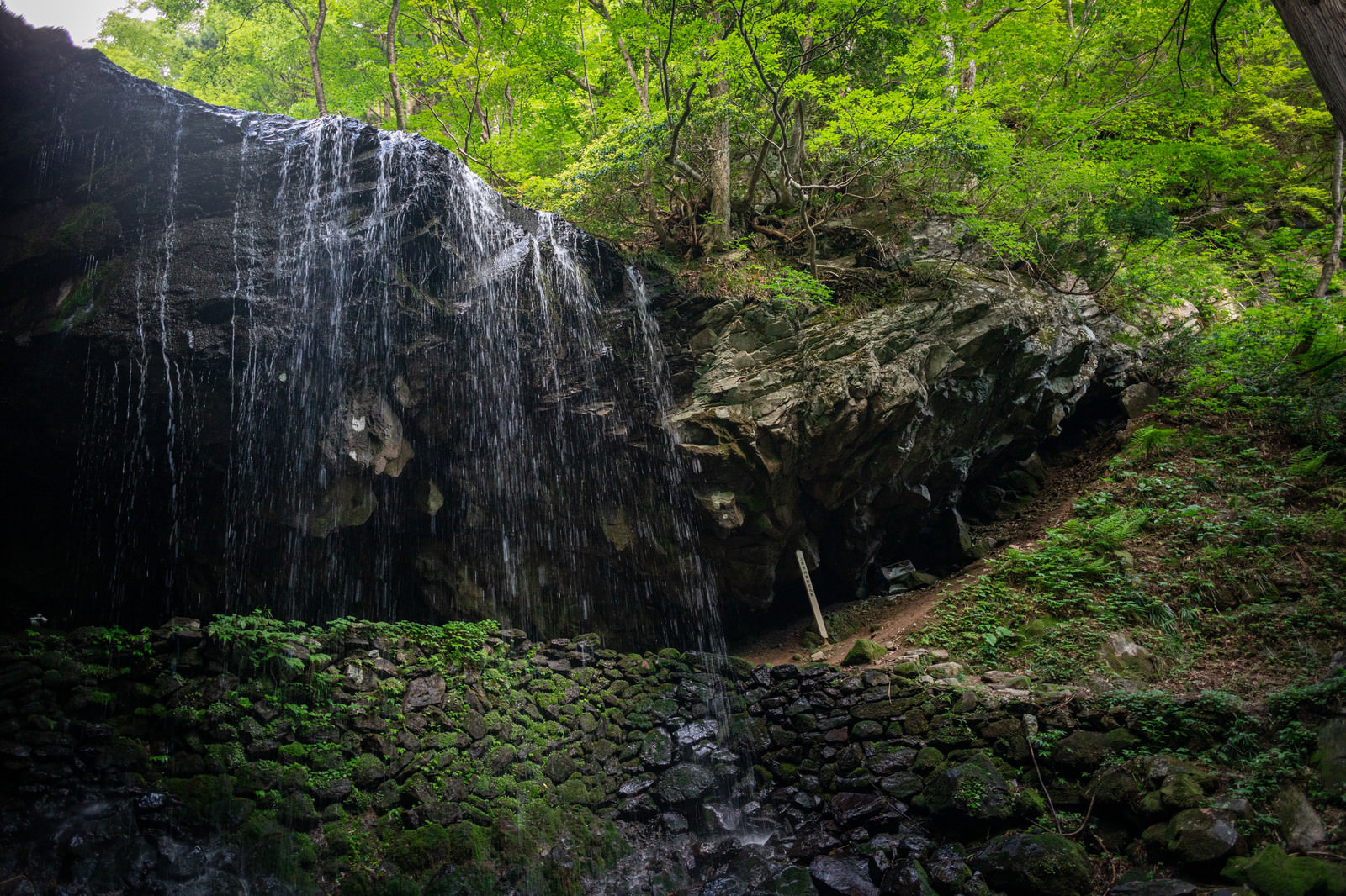 「新緑に囲まれる岩井滝 | フリー素材のぱくたそ」の写真