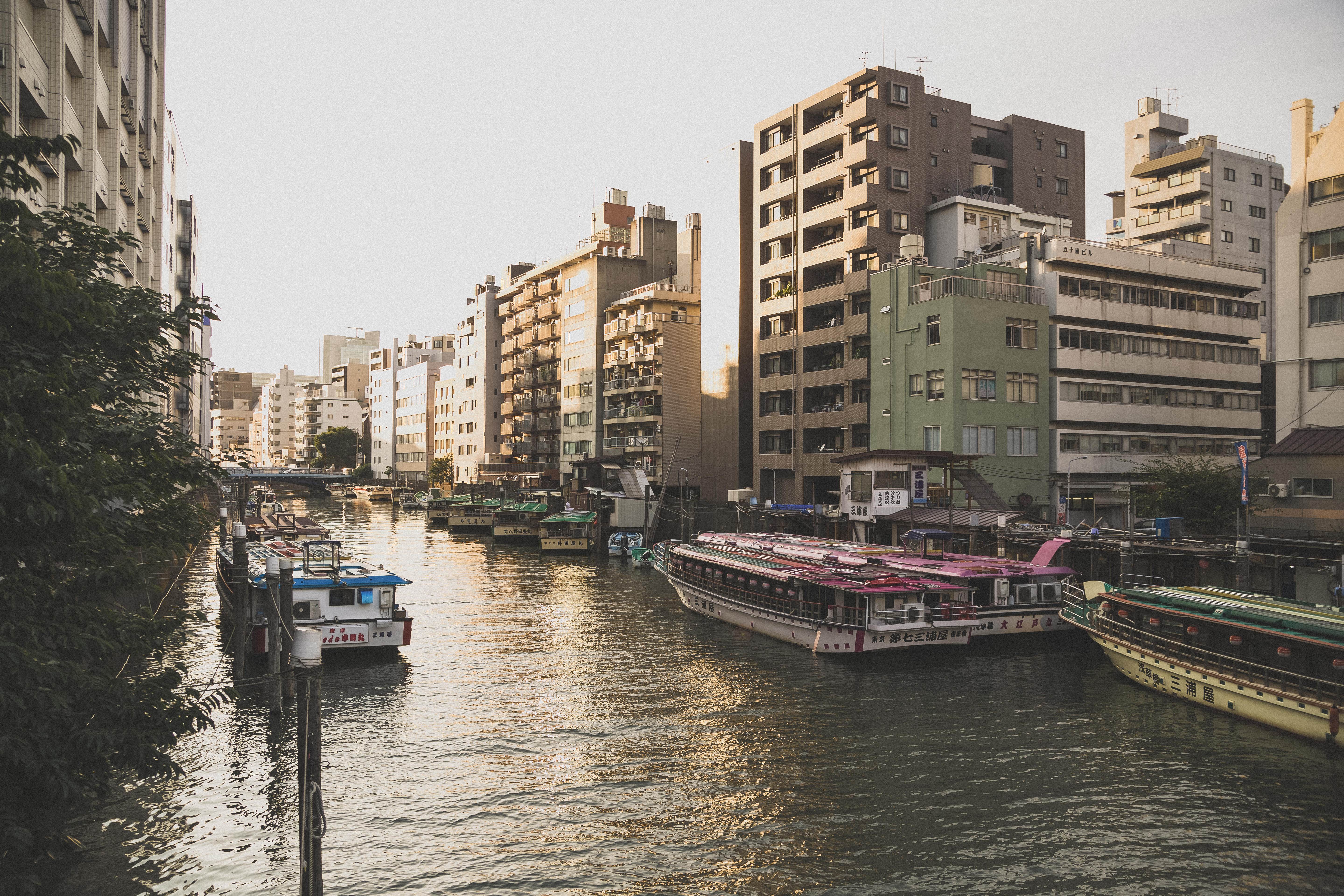 屋形船が停泊している河川と夕暮れの写真素材 ぱくたそ 屋形船が停泊している河川と夕暮れの写真素材 ぱくたそ