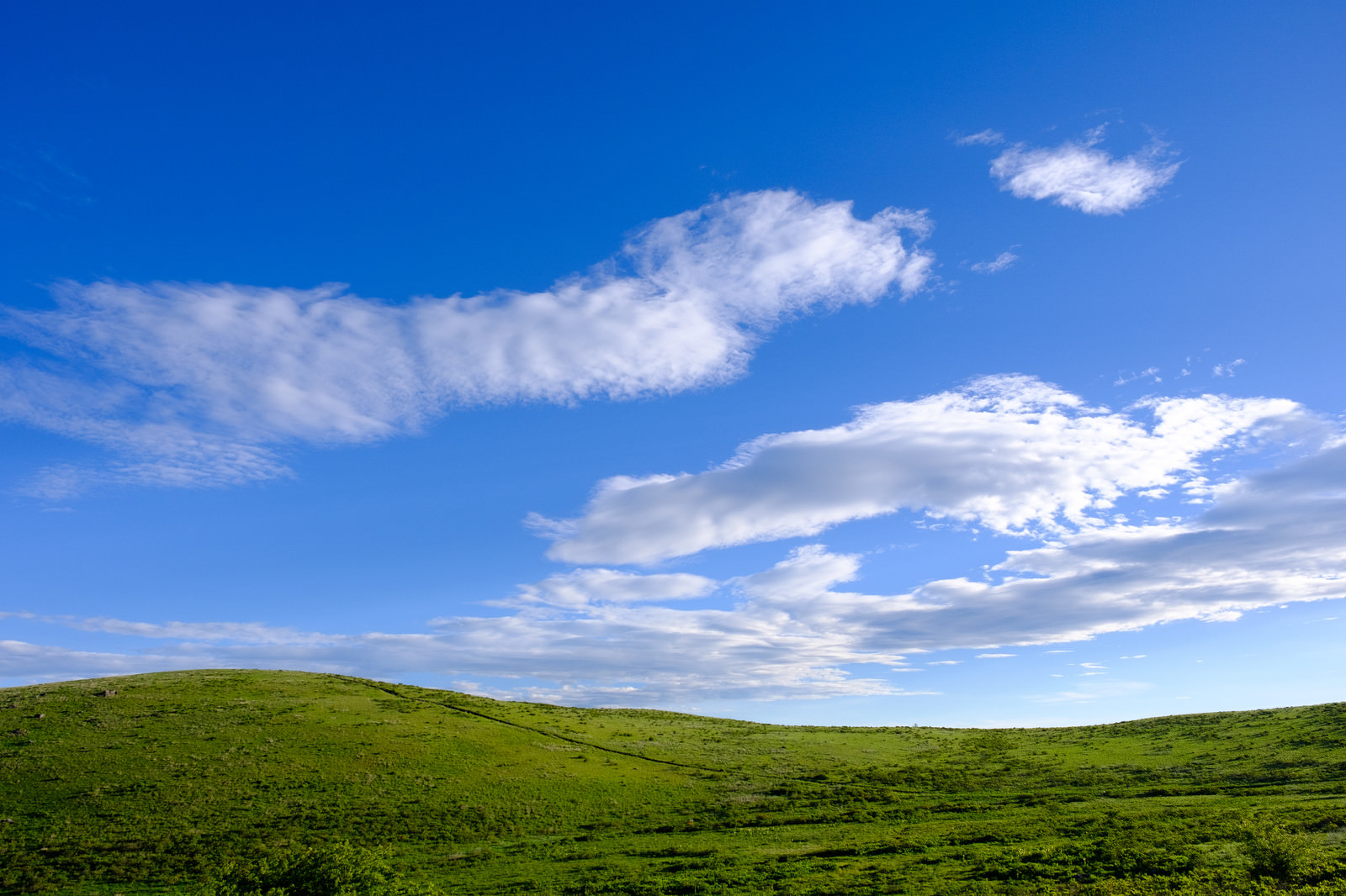 ãèæ¯ã»å£ç´ã«ããããªãé«åã®æ§å­èæ¯ã»å£ç´ã«ããããªãé«åã®æ§å­ãã®ããªã¼åçç´ æãæ¡å¤§