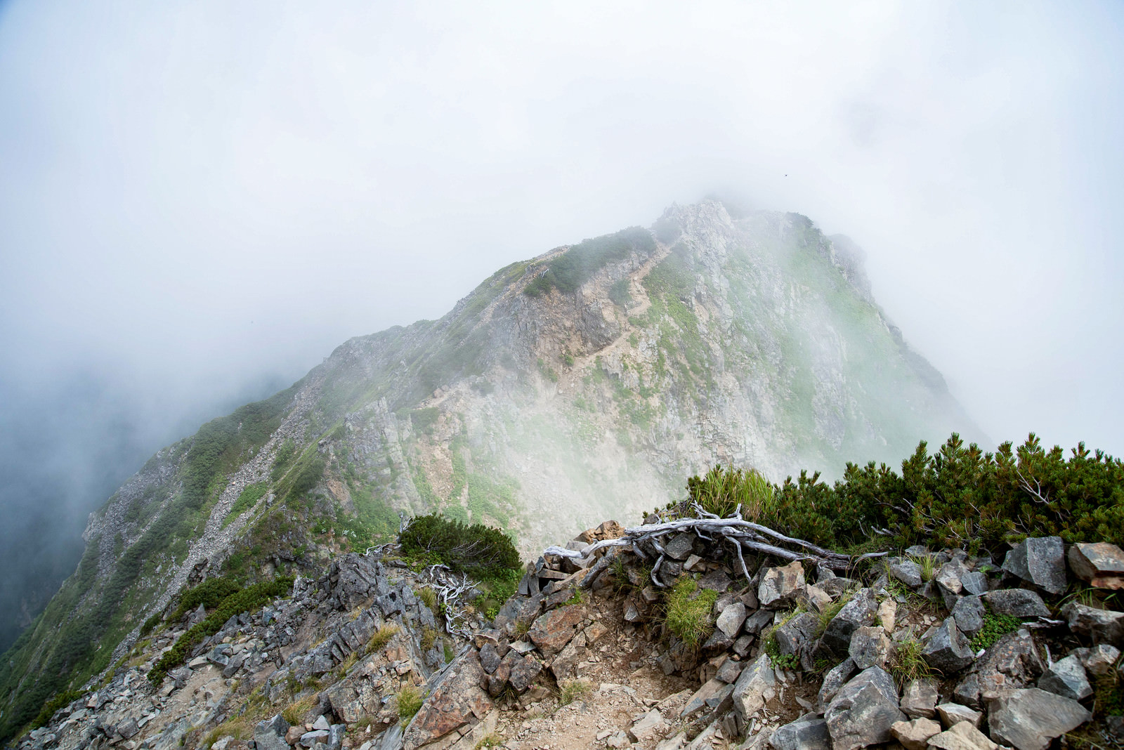 「沸き立つ雲に覆われる足場の悪い登山道 | フリー素材のぱくたそ」の写真
