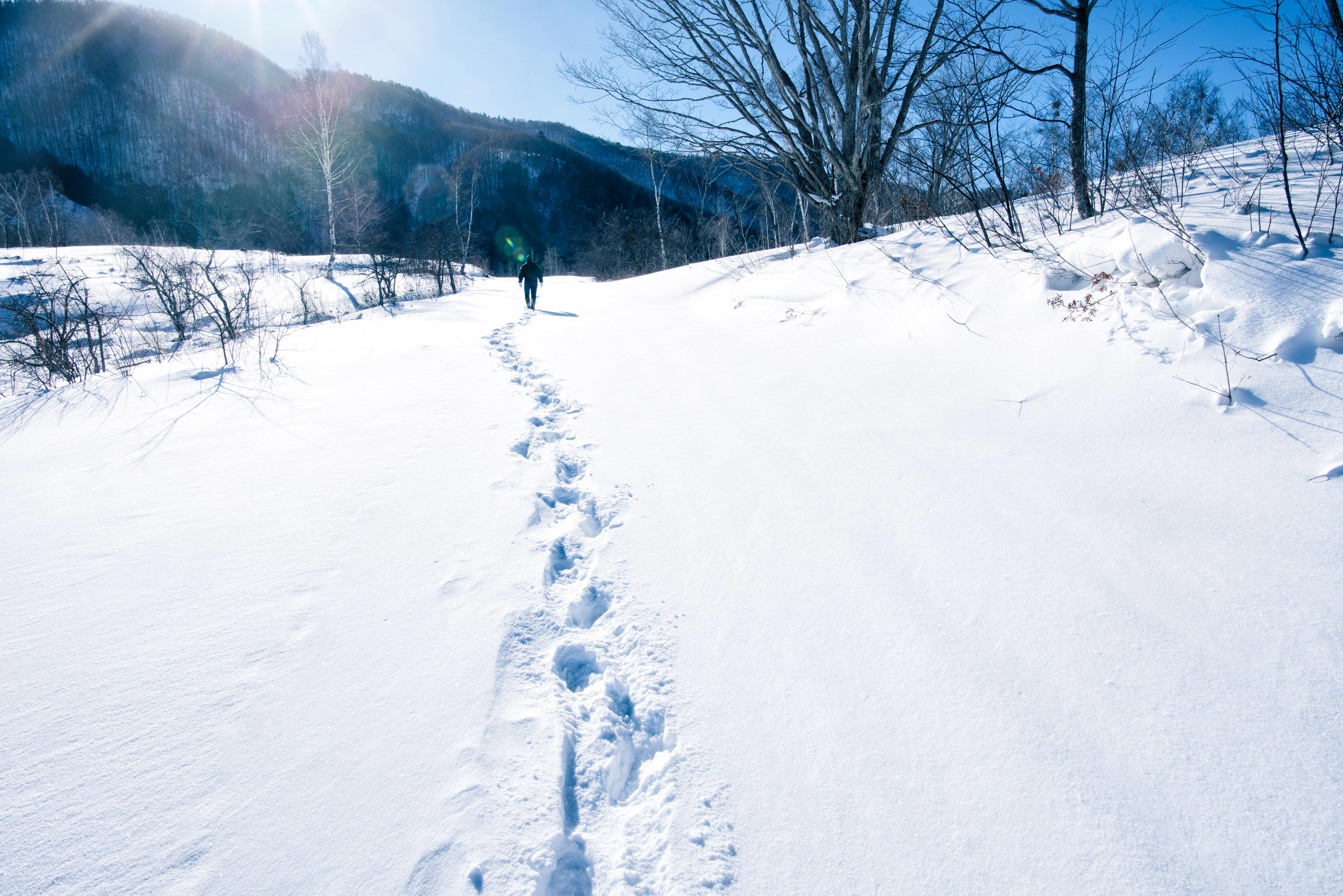 雪に残る足跡の写真を無料ダウンロード フリー素材 ぱくたそ
